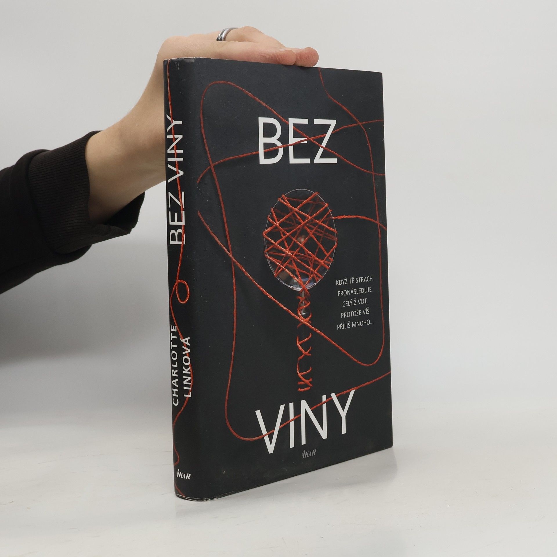 Charlotte Link Bez viny