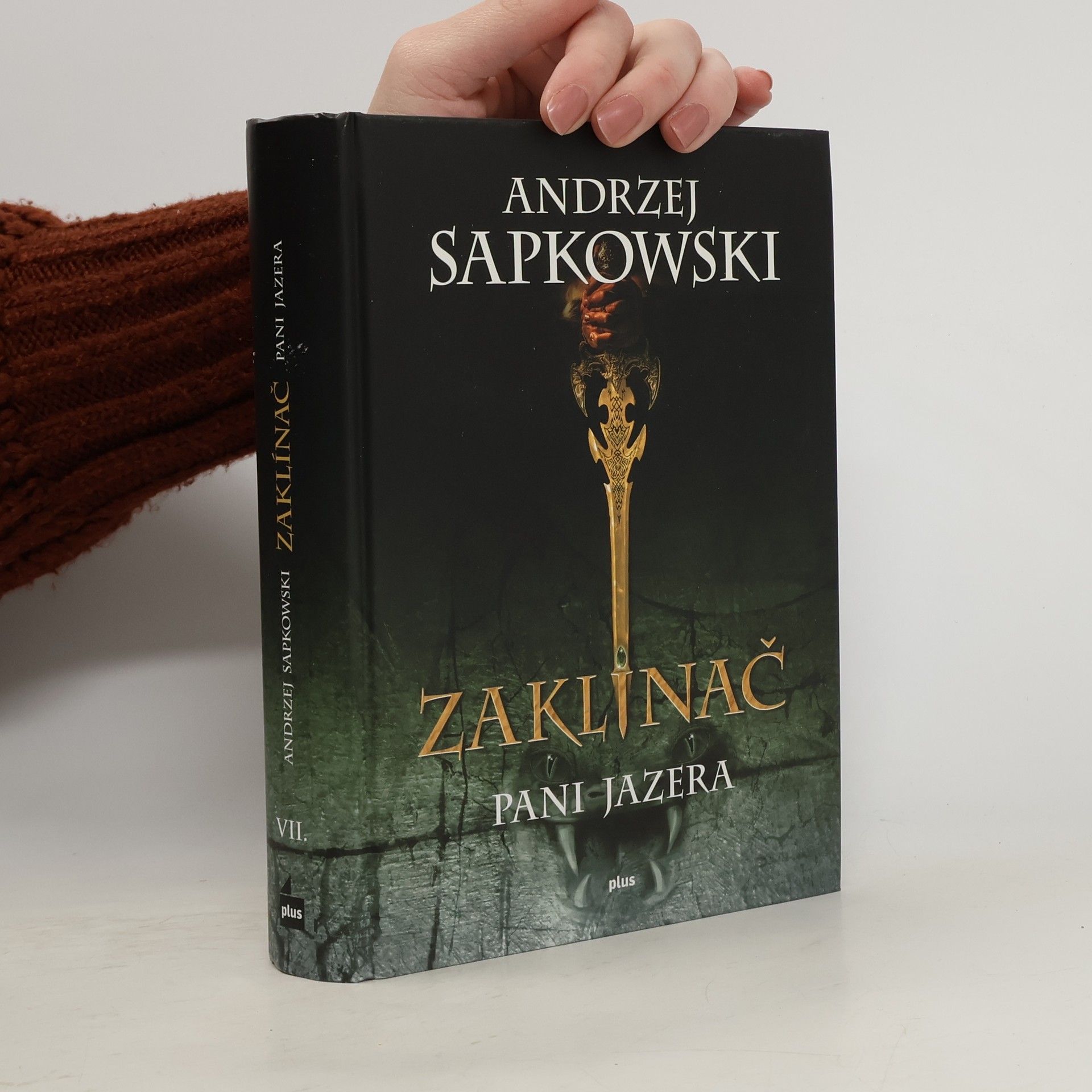 Andrzej Sapkowski Zaklínač. VII, Pani jazera. Slovensky.