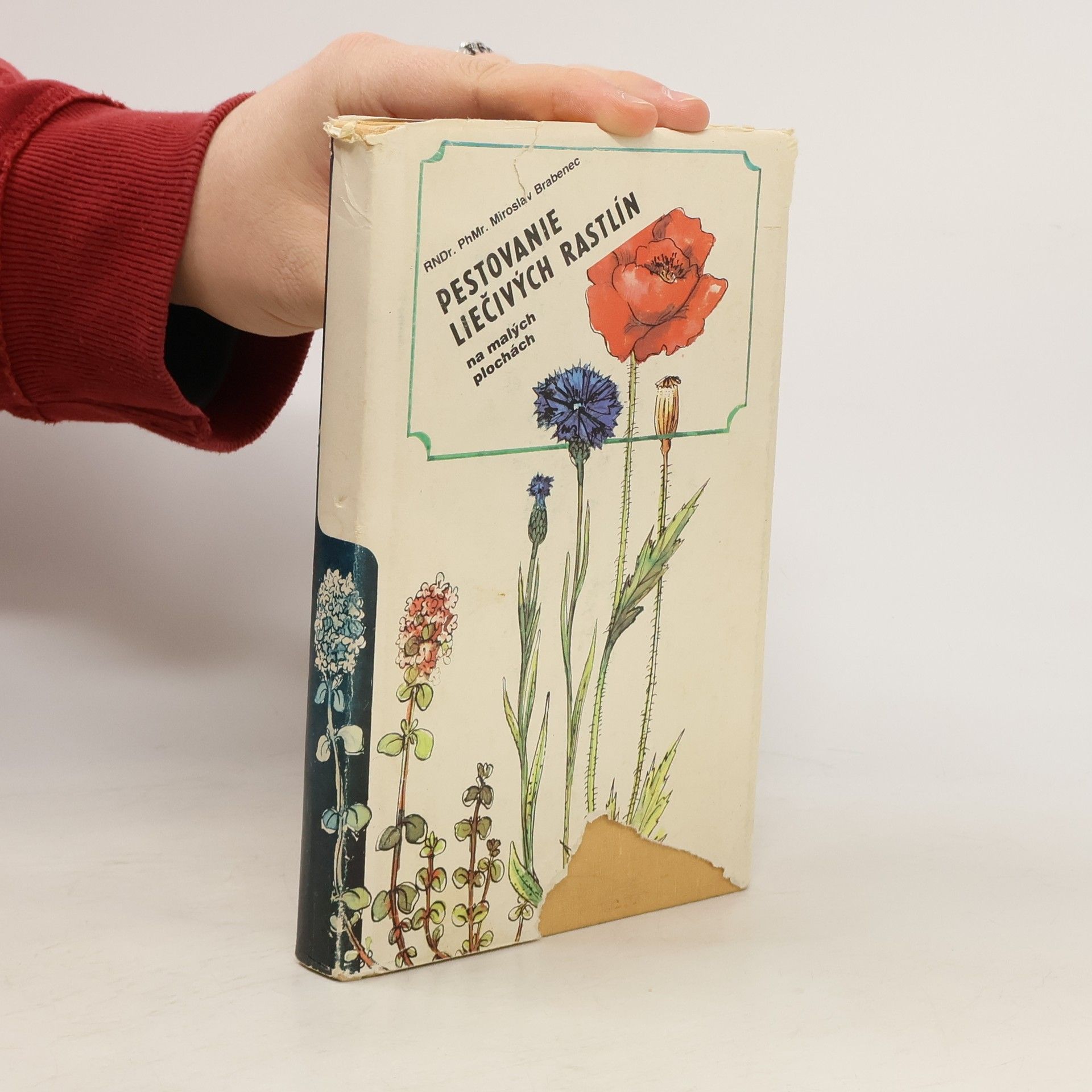 Pestovanie liečivých rastlín na malých plochách