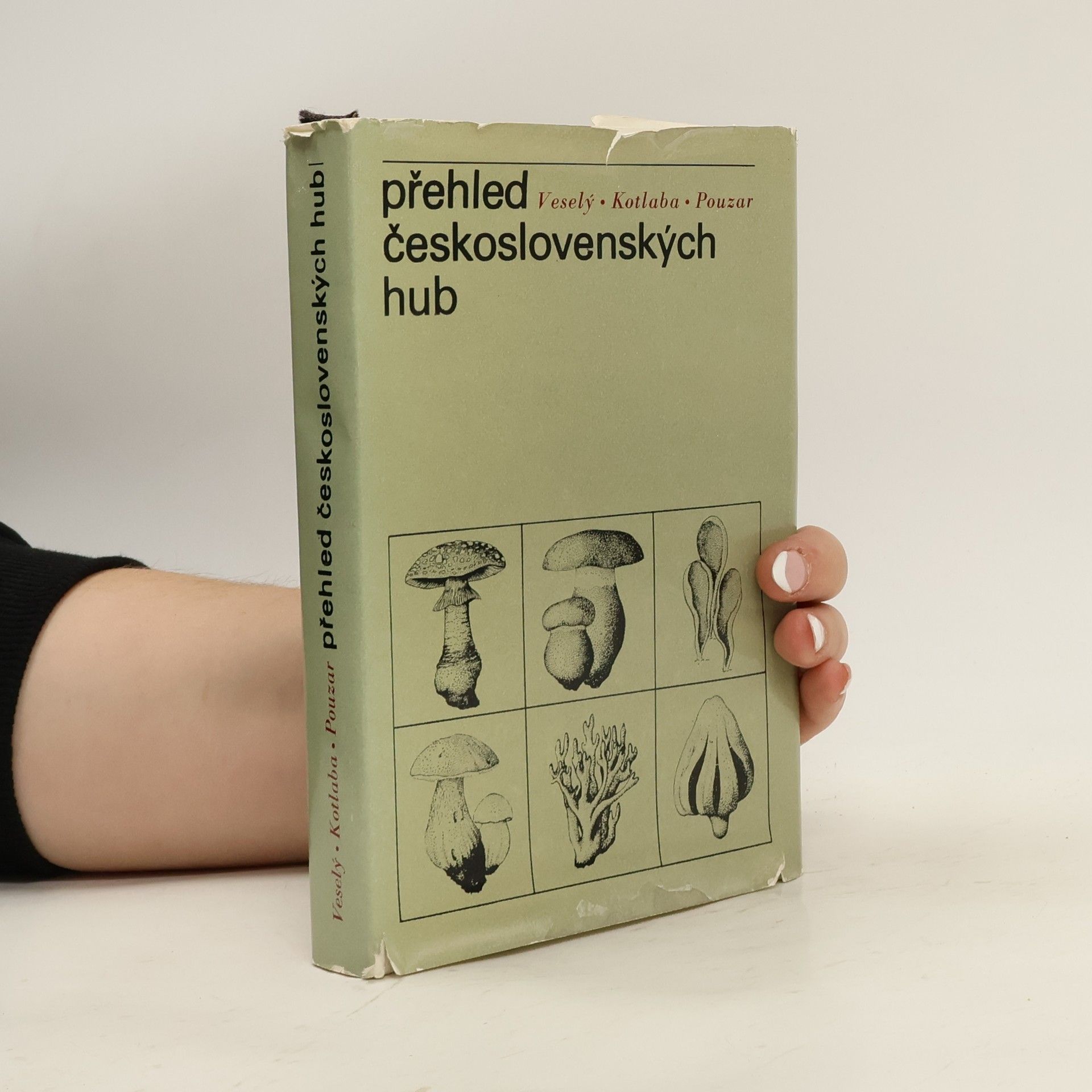 Přehled československých hub