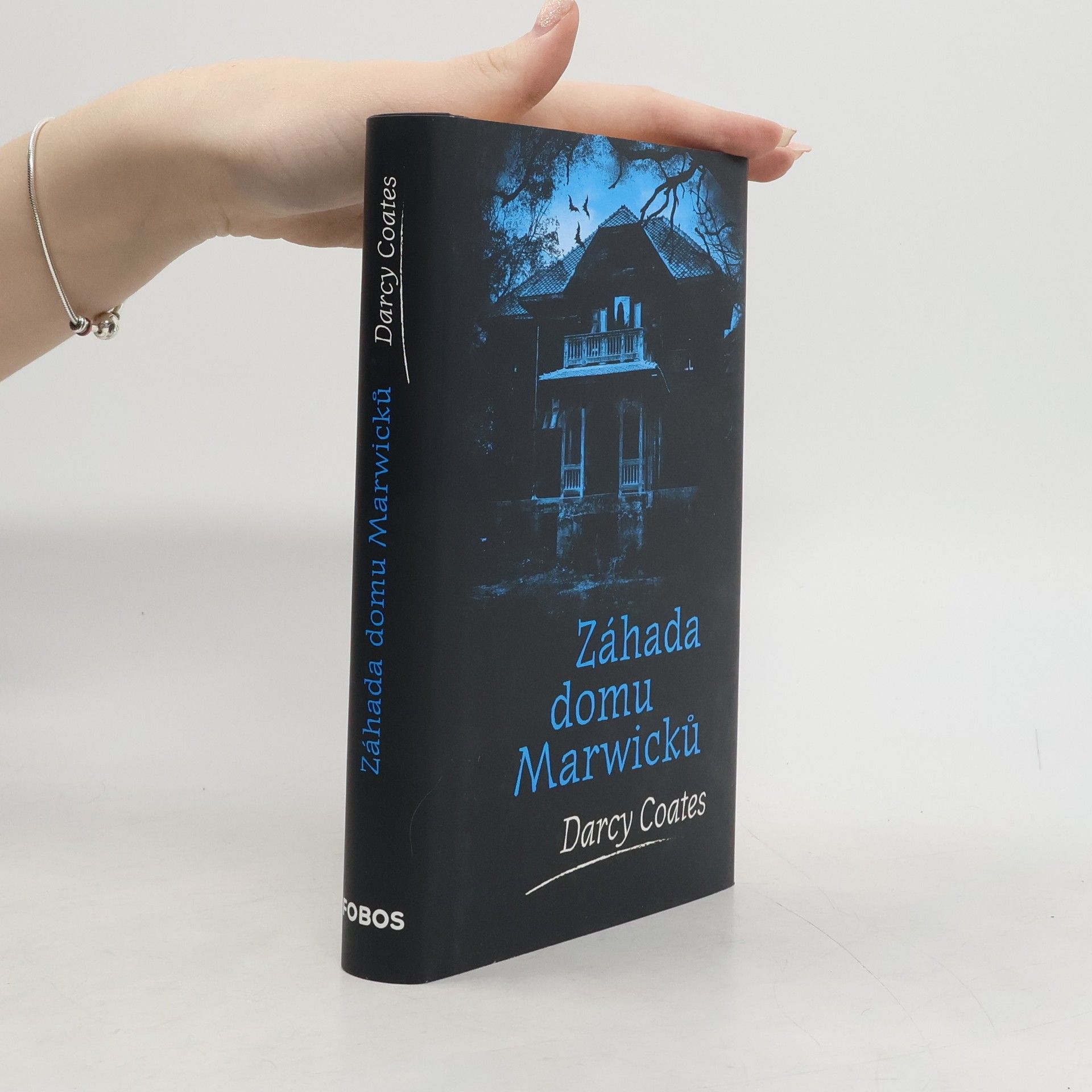 Záhada domu Marwicků