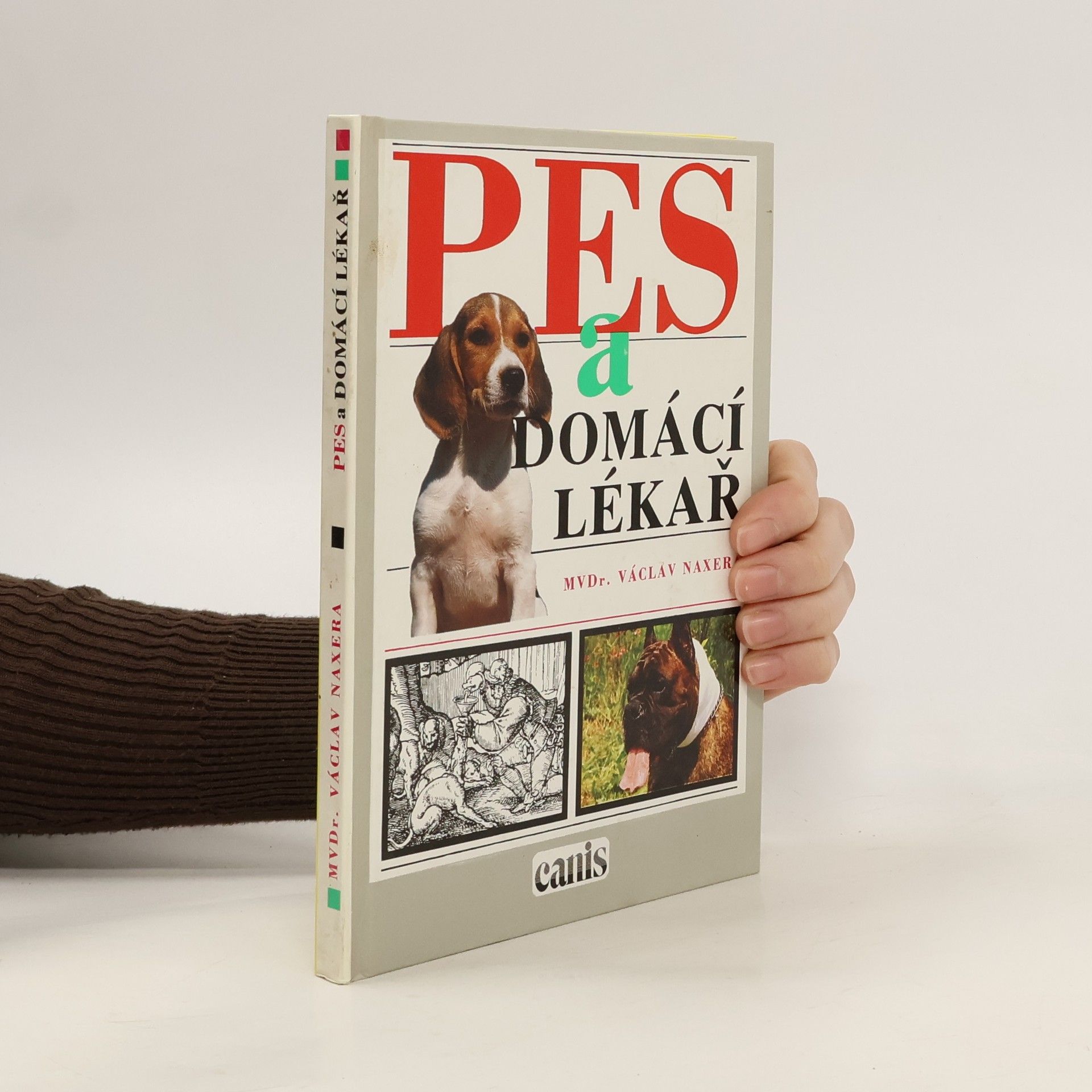 Pes a domácí lékař