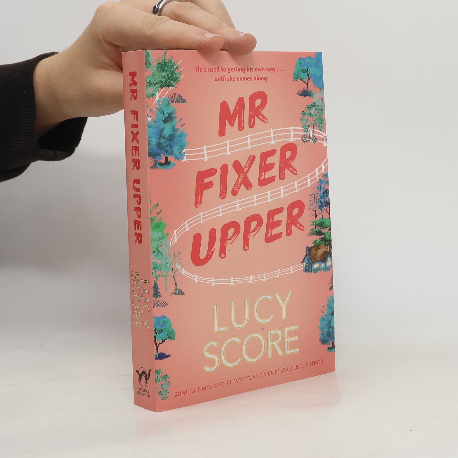 Lucy Score Mr Fixer Upper: the new romance from the bestselling Tiktok sensation!