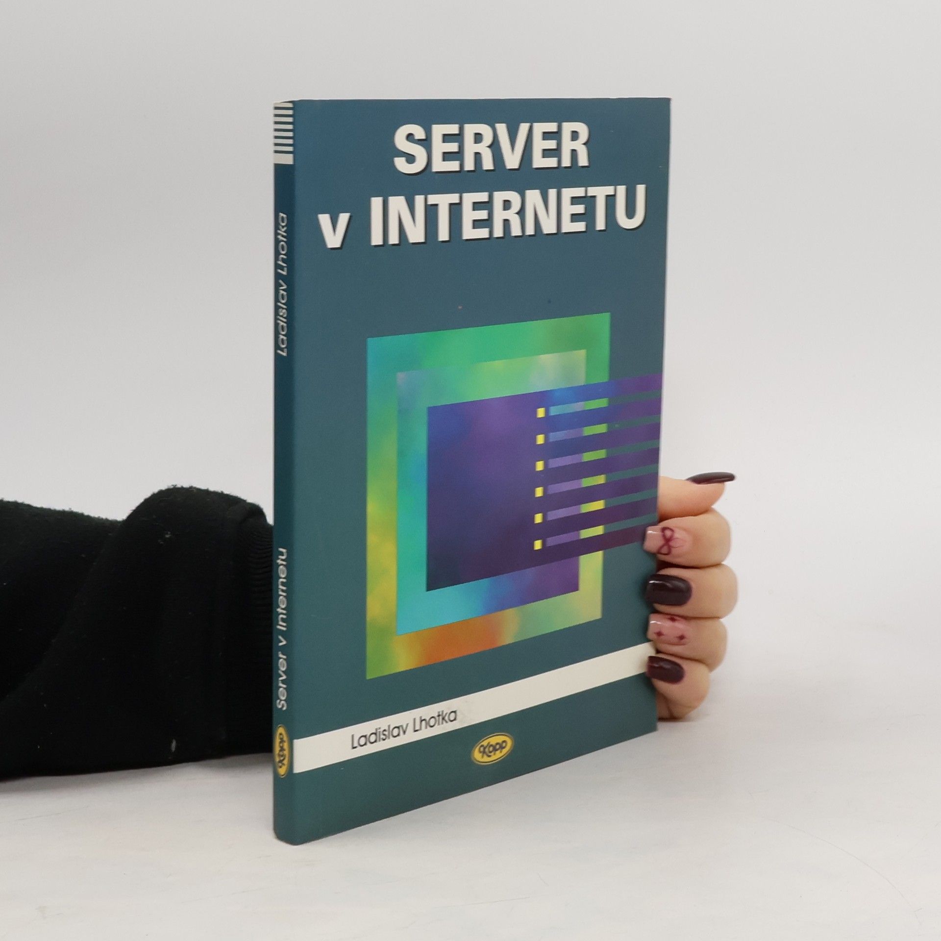 Server v Internetu