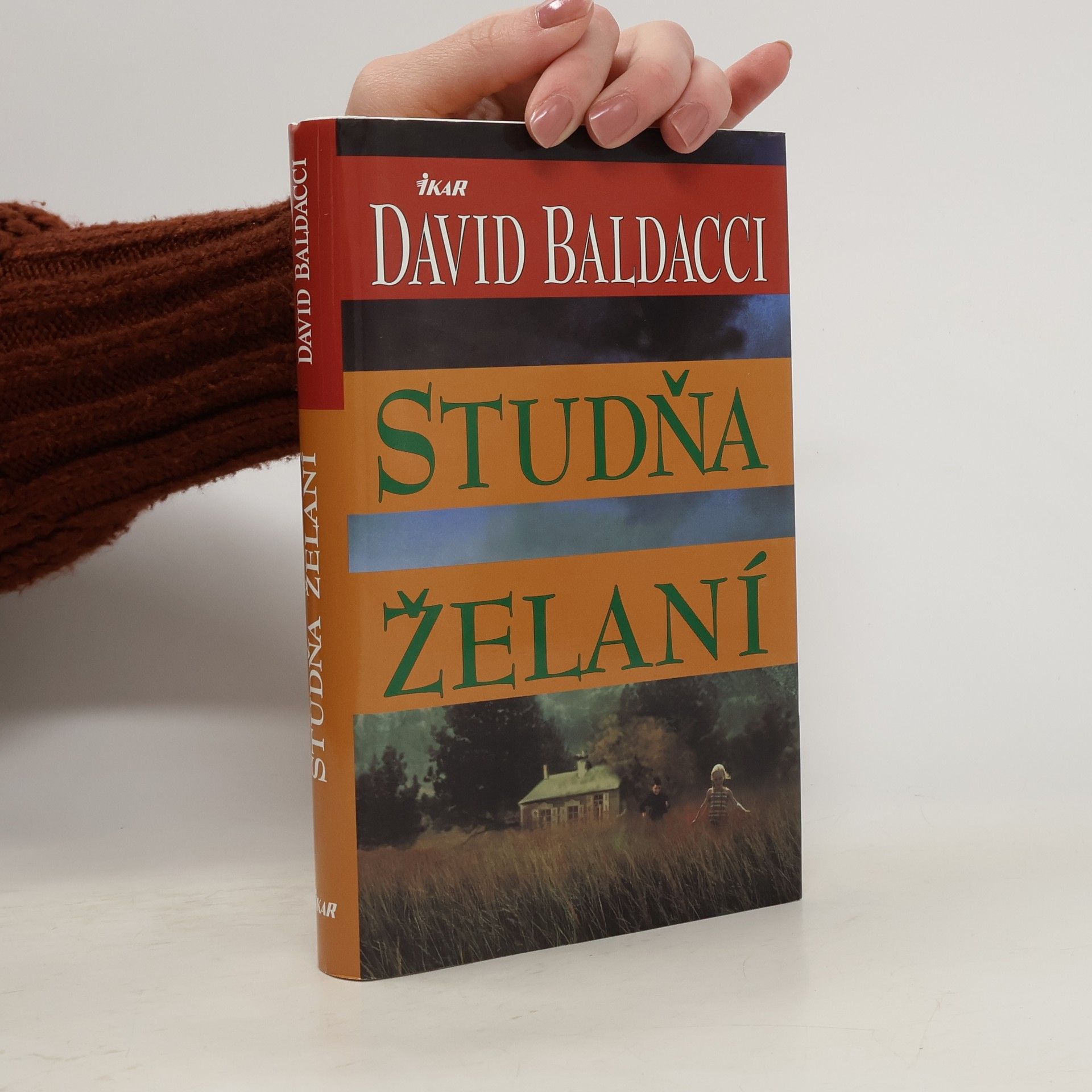 David Baldacci Studňa želaní