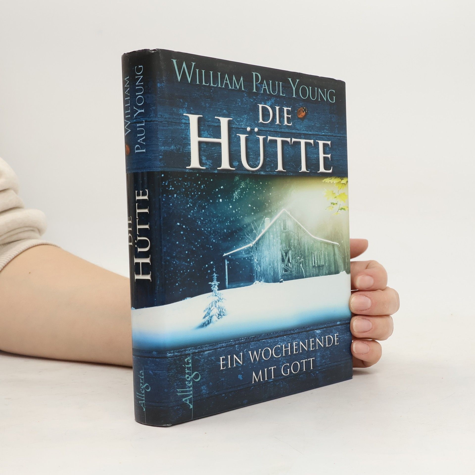 William P. Young Die Hütte