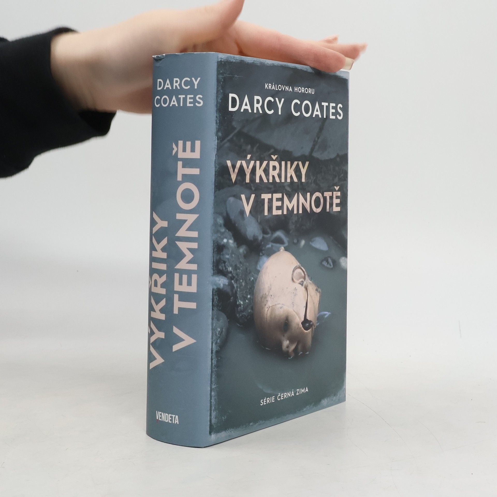 Darcy Coates Výkřiky v temnotě