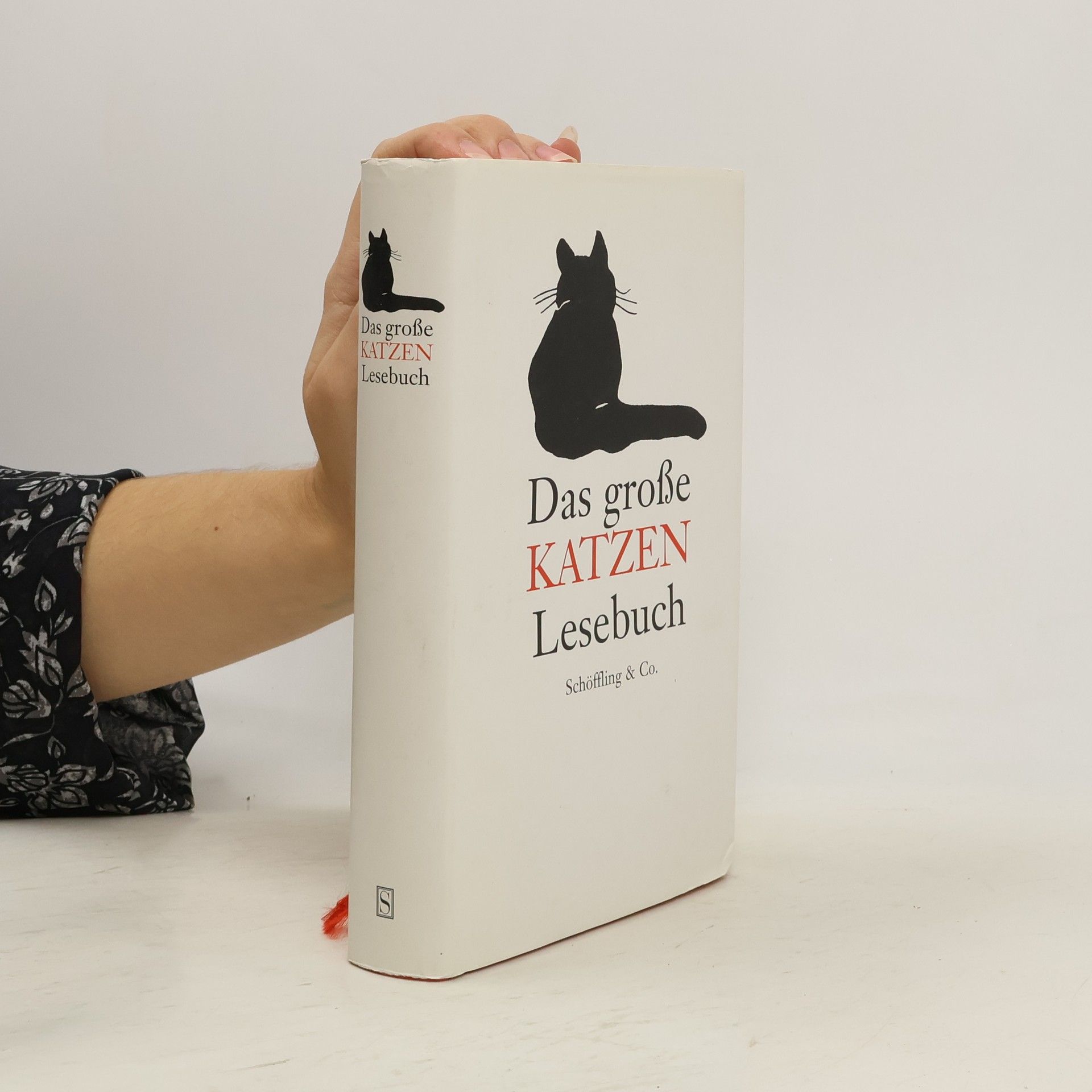 Julia Bachstein Das große Katzen-Lesebuch