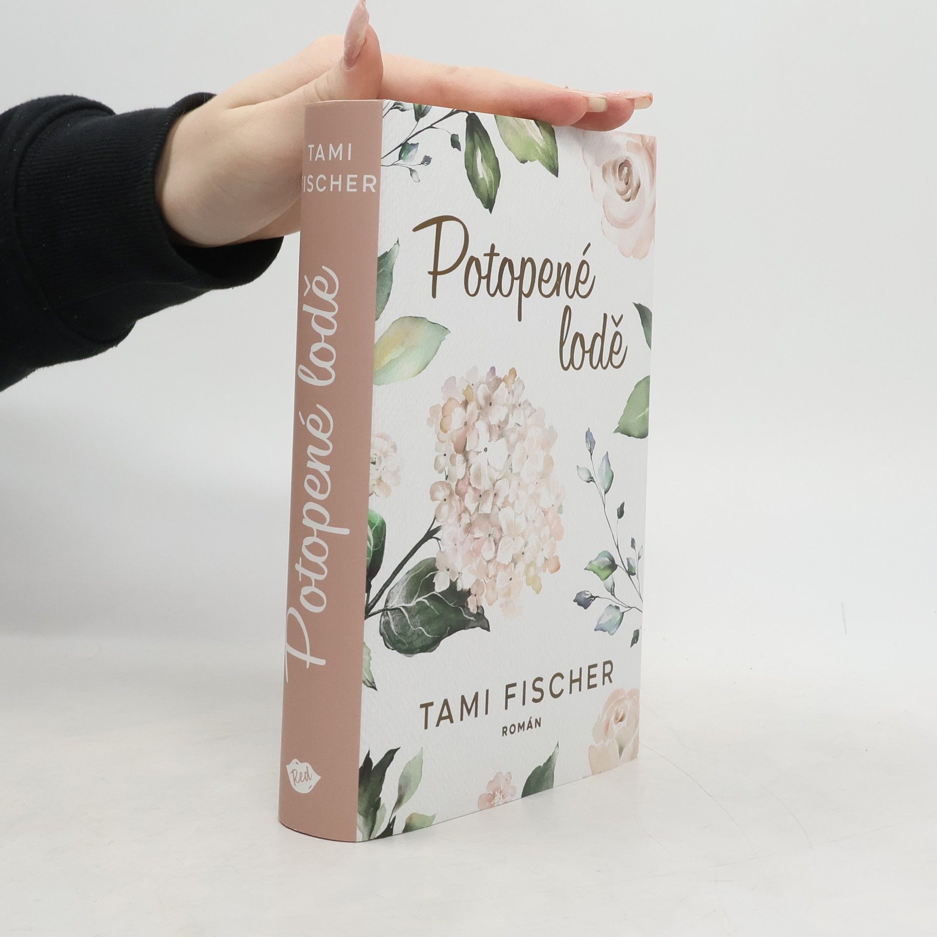 Tami Fischer Potopené lodě