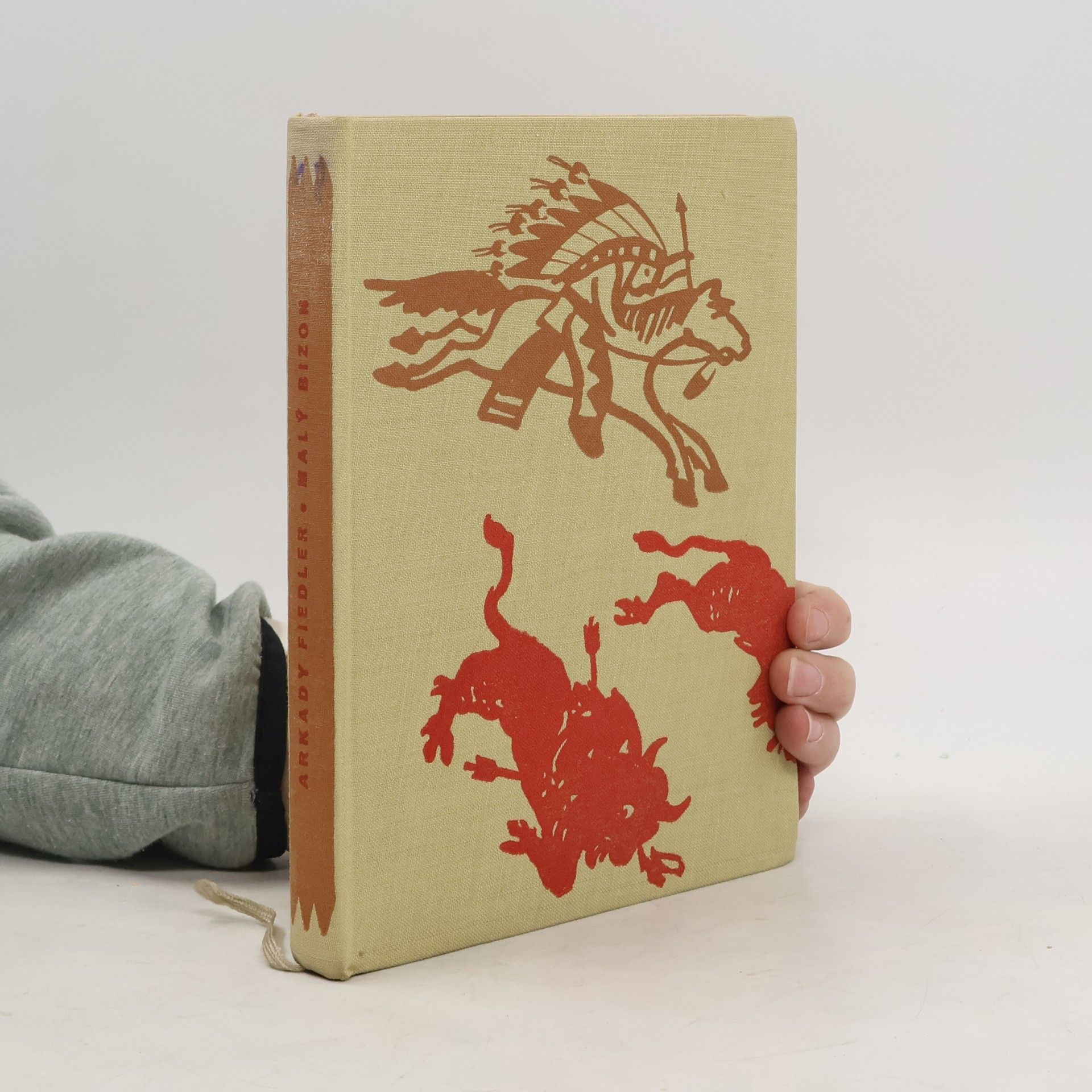 Arkady Fiedler Malý Bizon