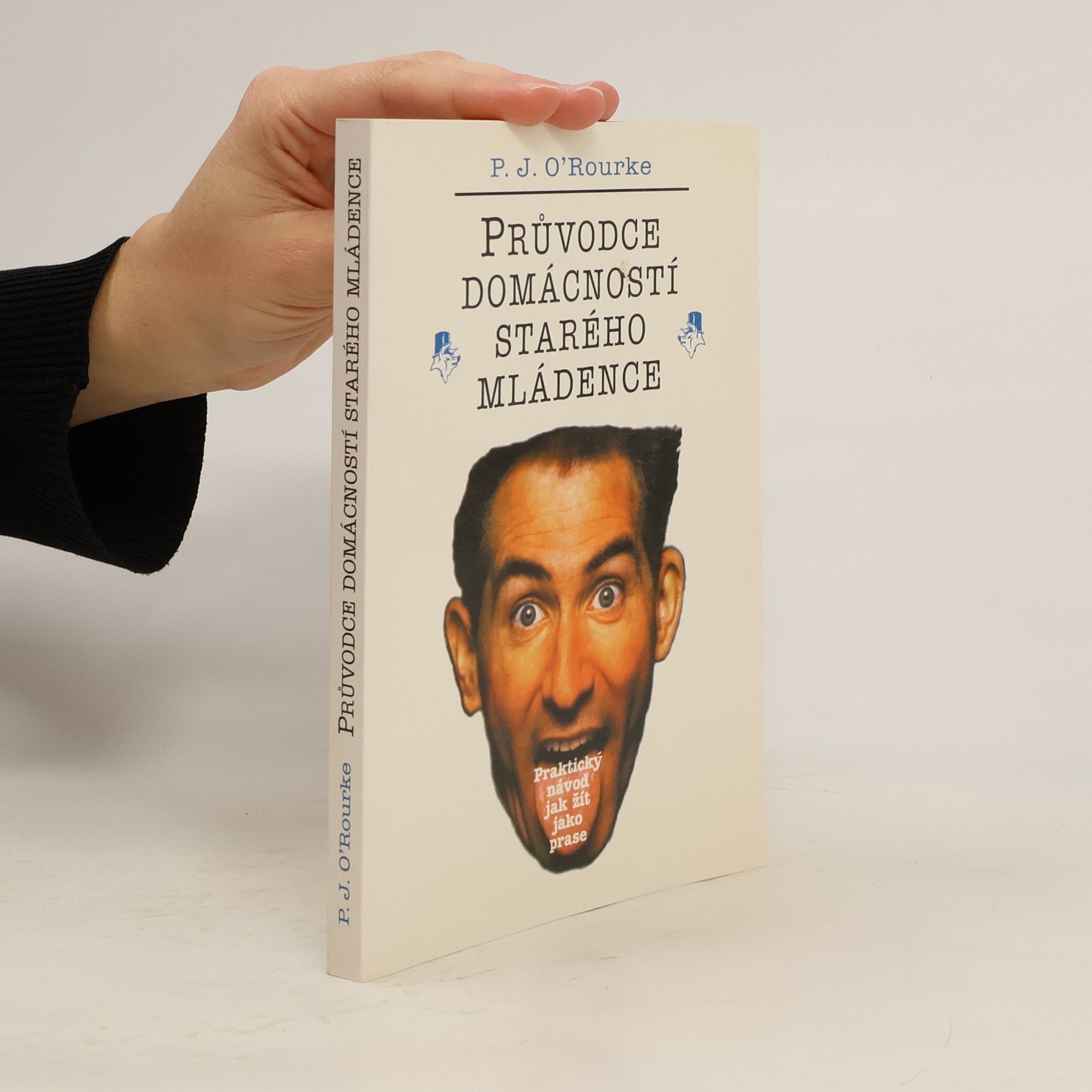 P. J. O. Rourke Průvodce domácností starého mládence