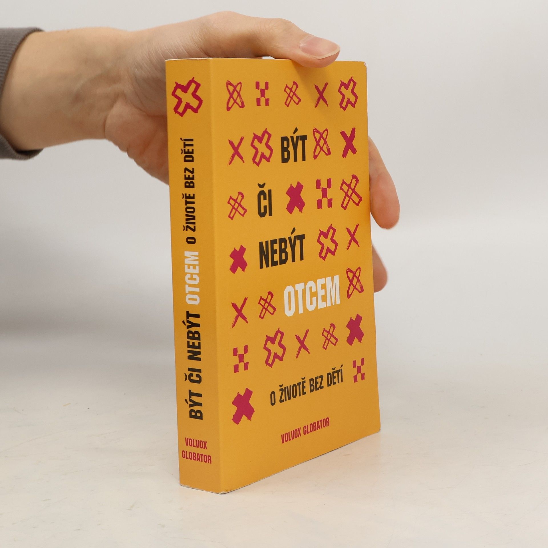 Kolektív autorov Být či nebýt otcem: O životě bez dětí