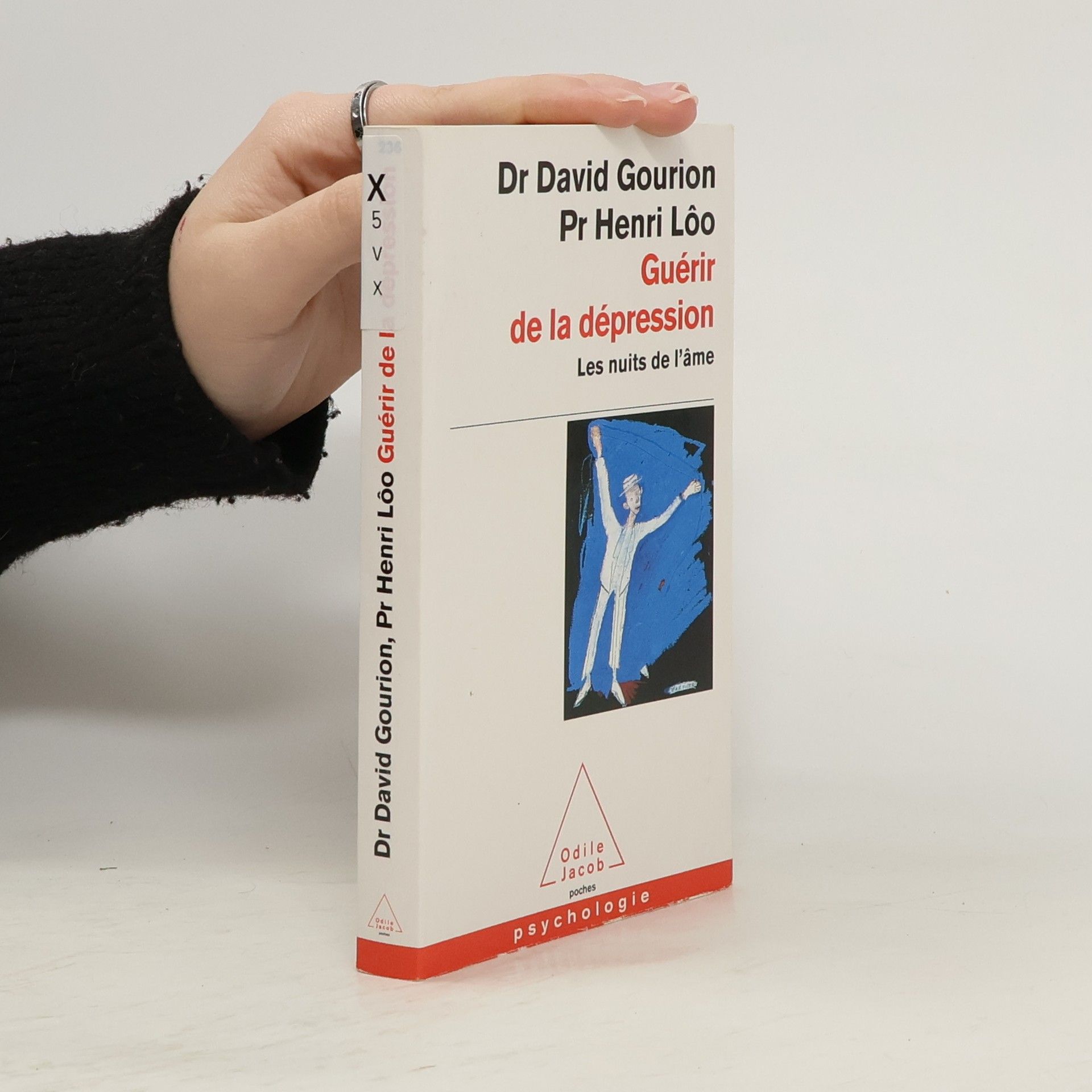 Gourion David Guérir de la dépression