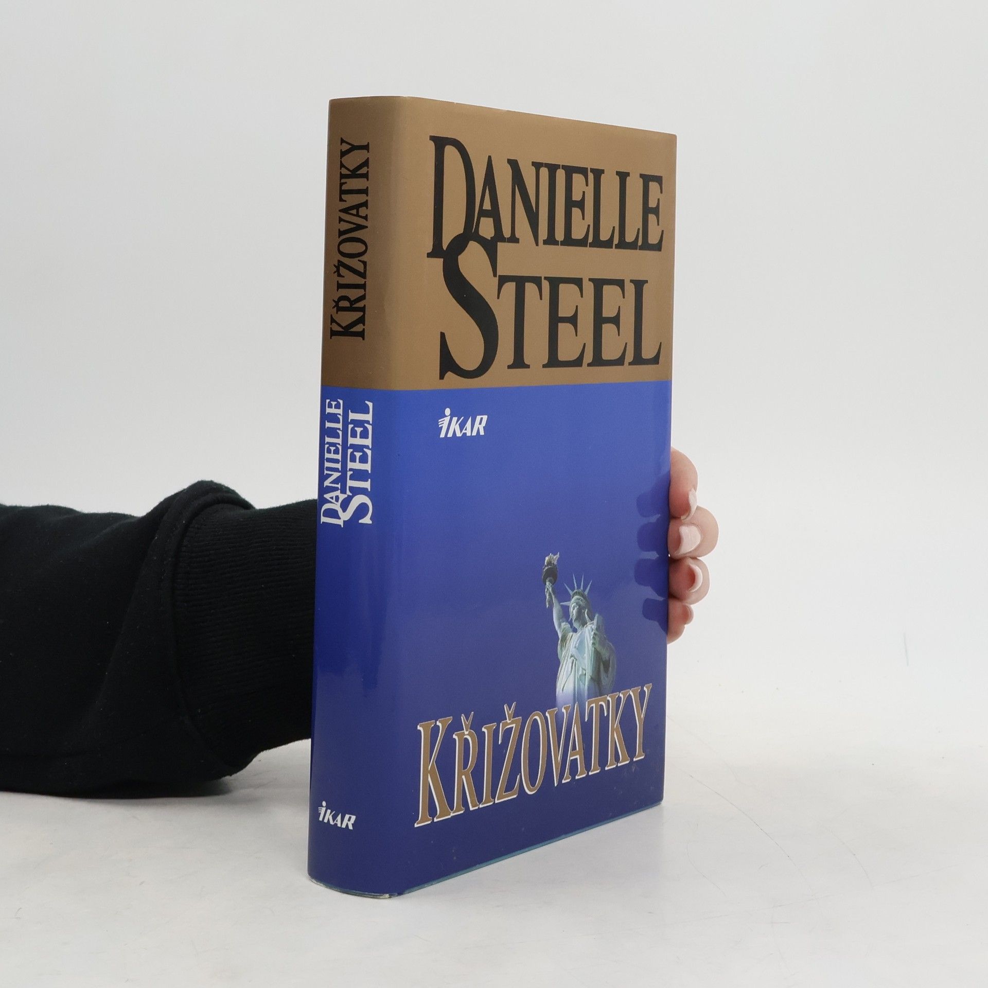 Danielle Steel Křižovatky