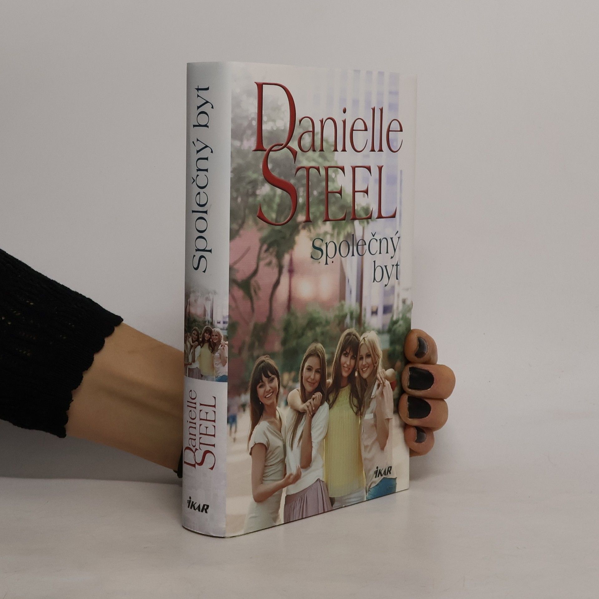 Danielle Steel Společný byt