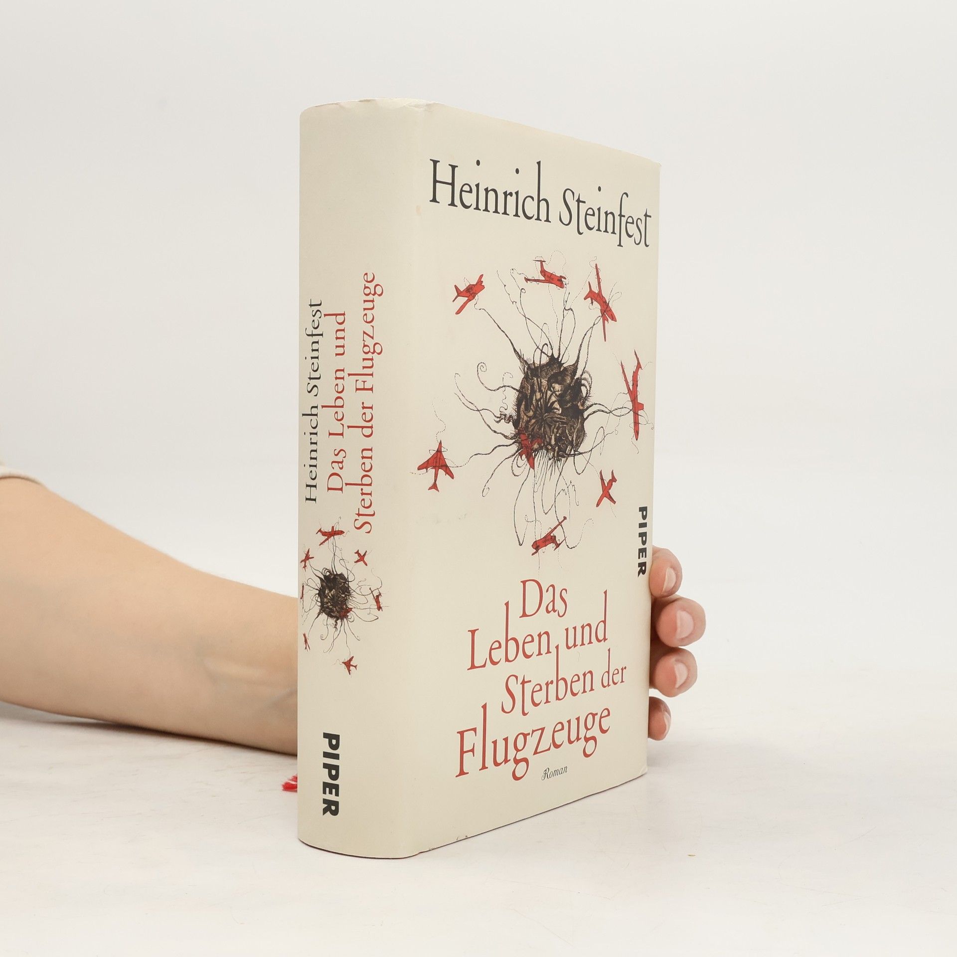 Heinrich Steinfest Das Leben und Sterben der Flugzeuge