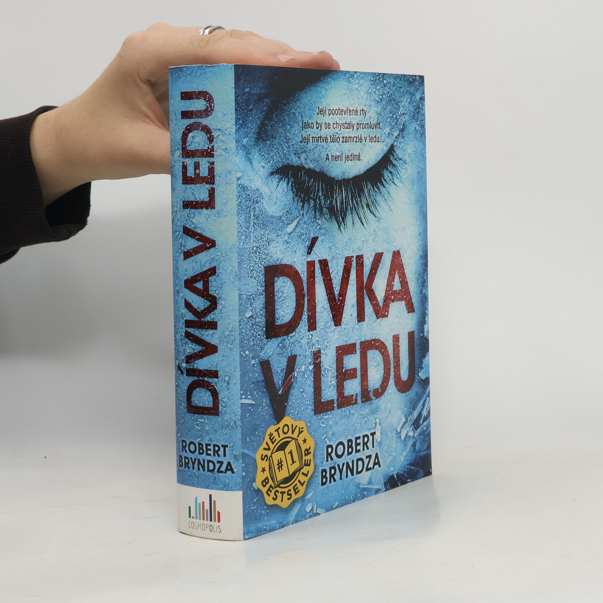 Robert Bryndza Dívka v ledu