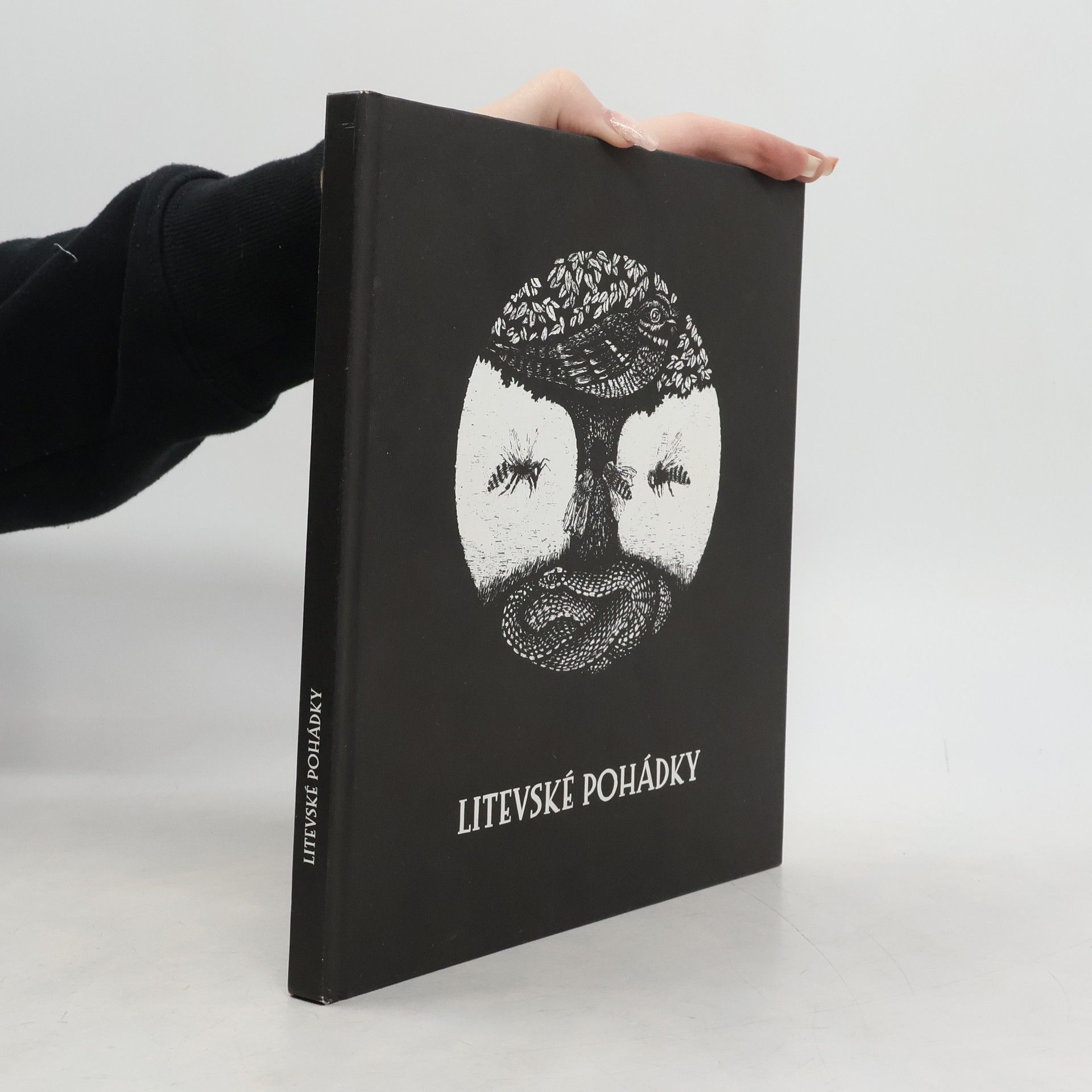 Kolektív autorov Litevské pohádky