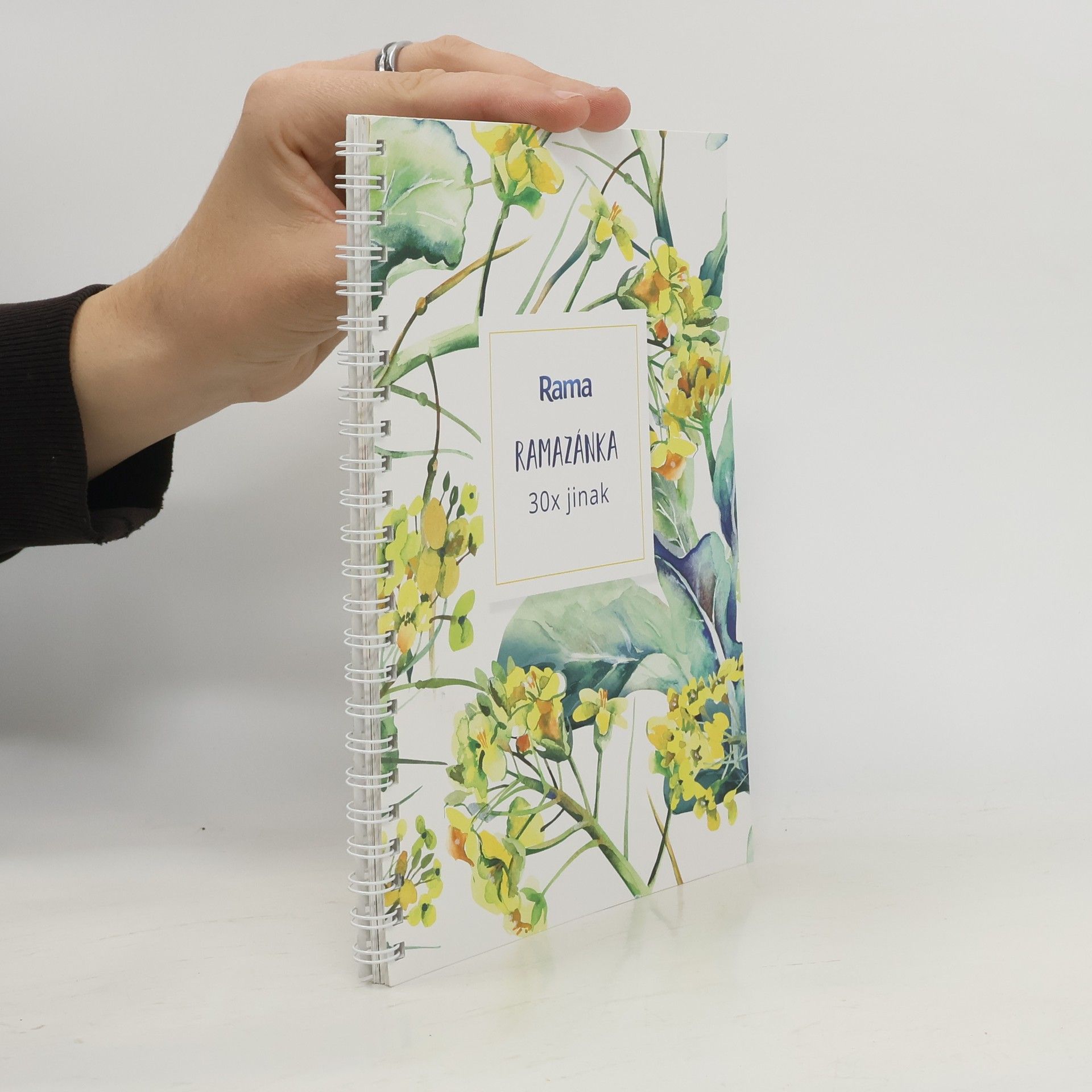 Kolektív autorov Rama: Pomazánka 30x jinak