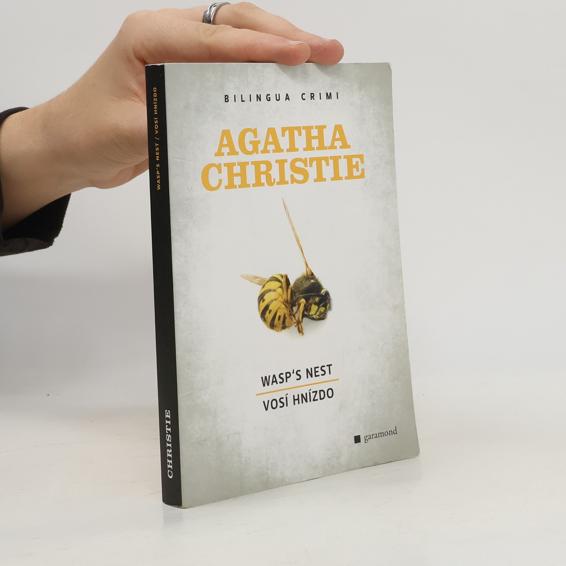 Wasp's Nest. Vosí hnízdo