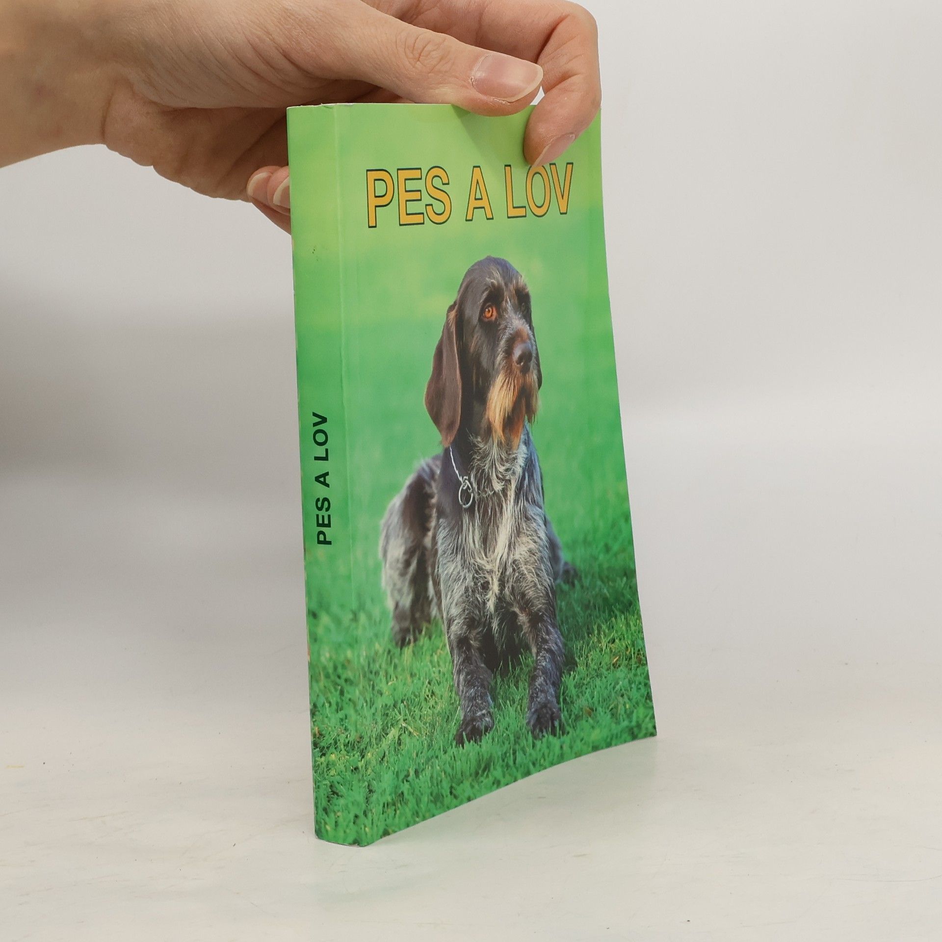 Kolektív autorov Pes a lov