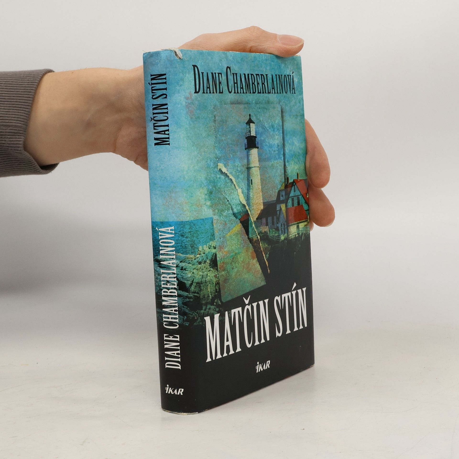 Diane Chamberlain Matčin stín