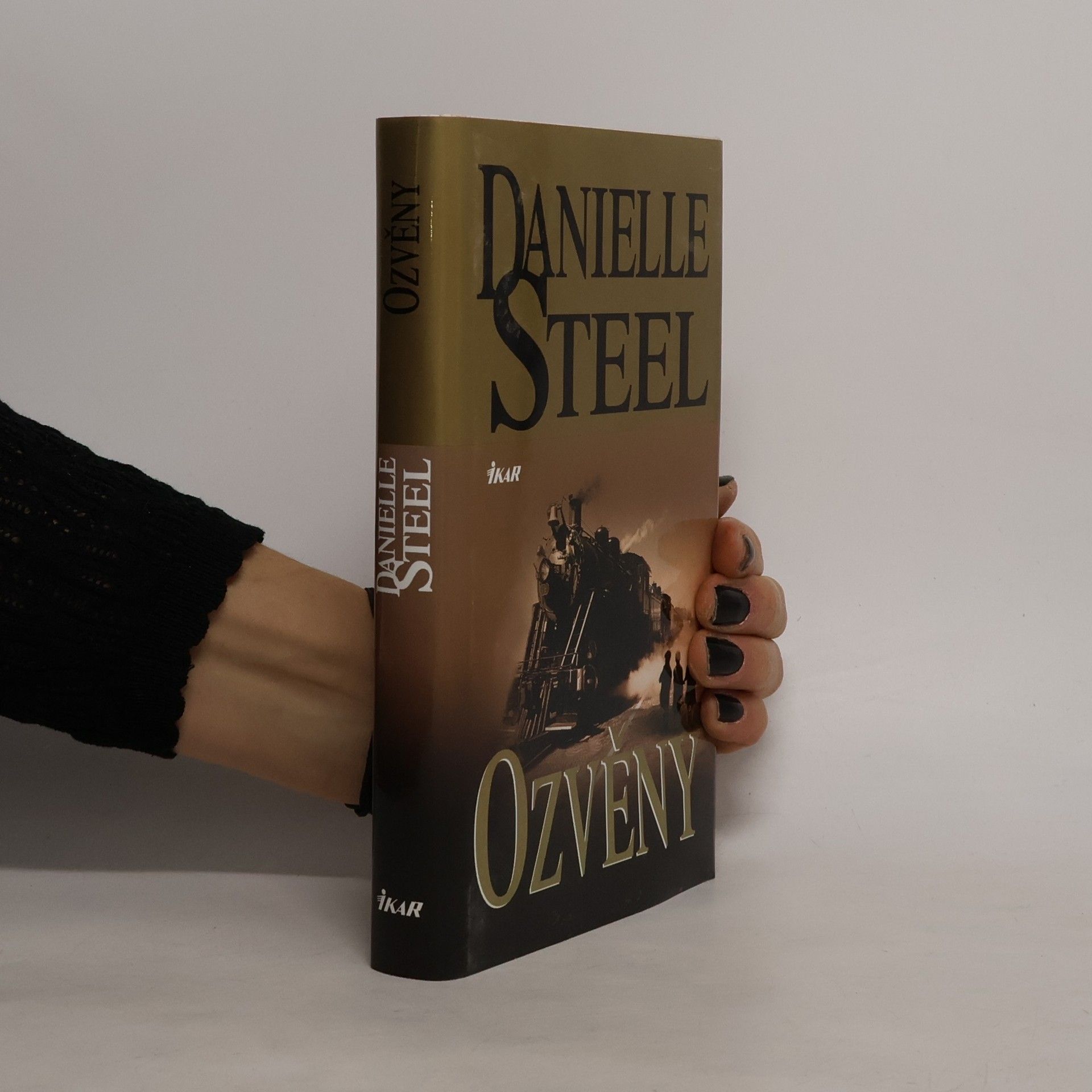 Danielle Steelová Ozvěny