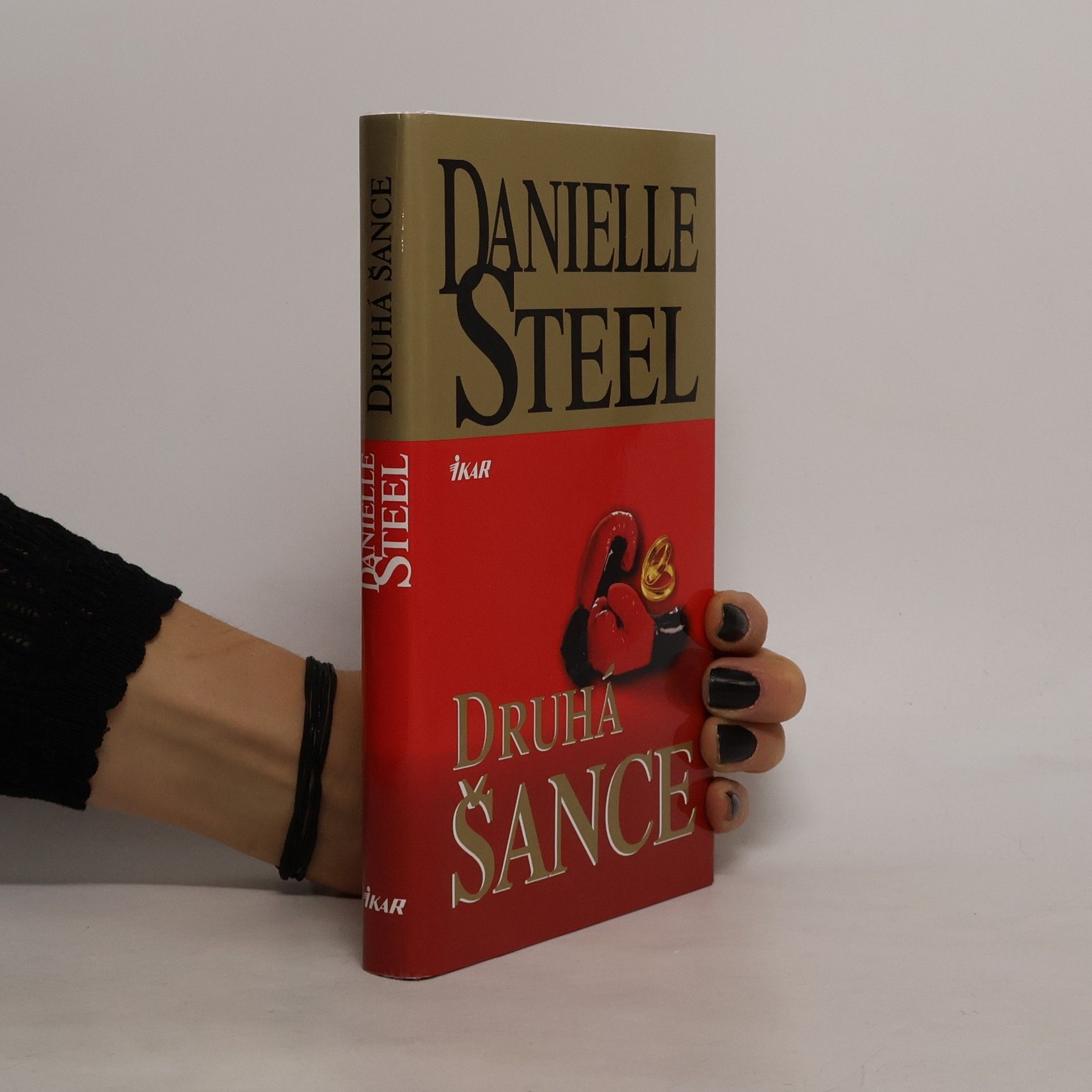 Danielle Steel Druhá šance