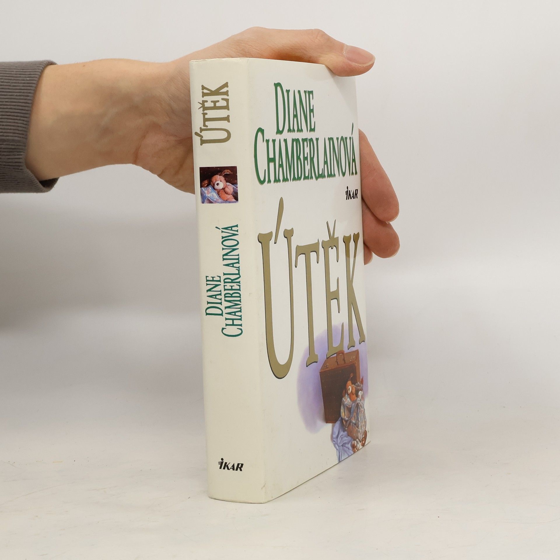 Diane Chamberlain Útěk