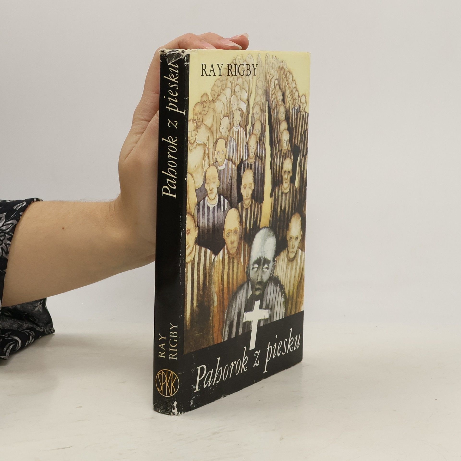 Ray Rigby Pahorok z piesku