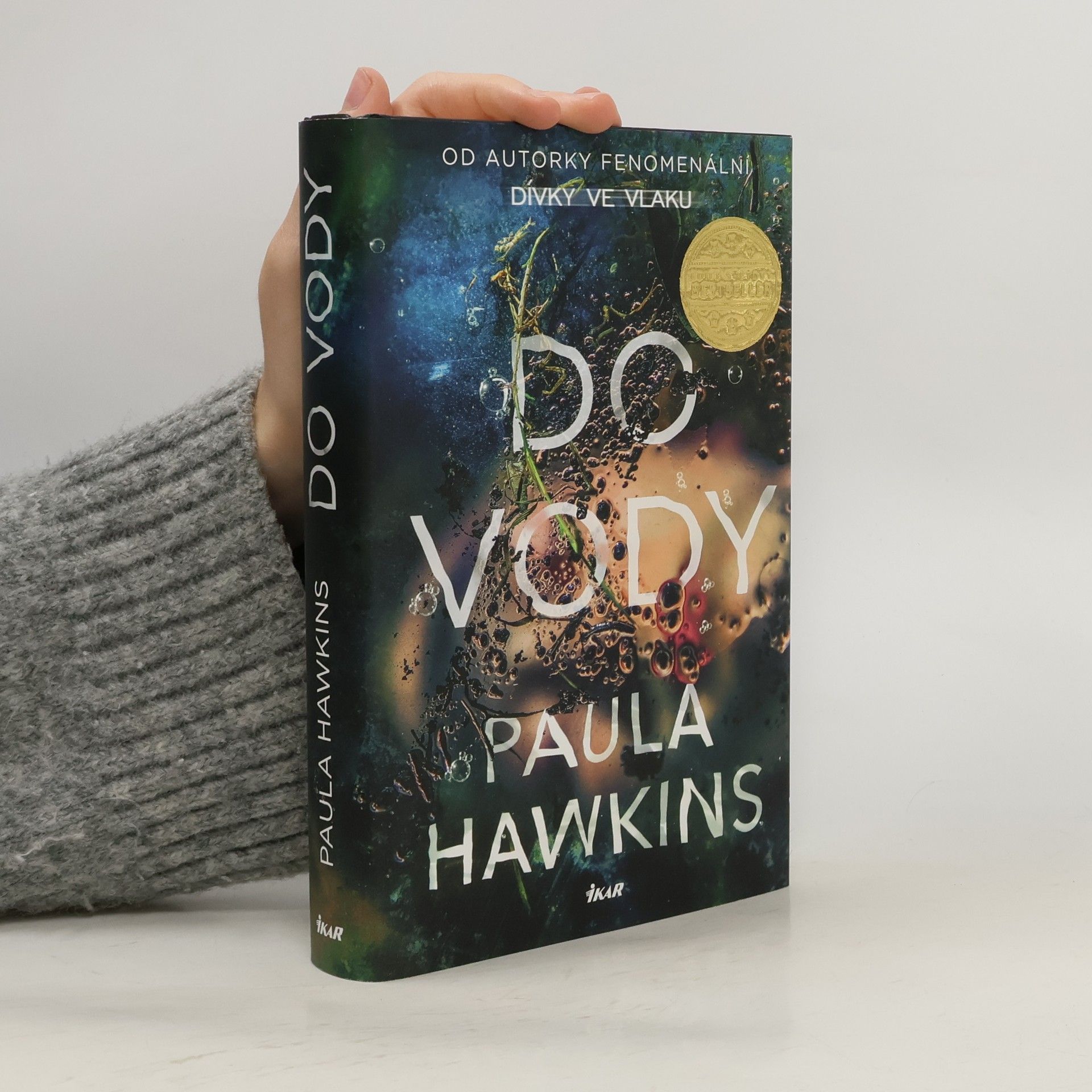Paula Hawkins Do vody