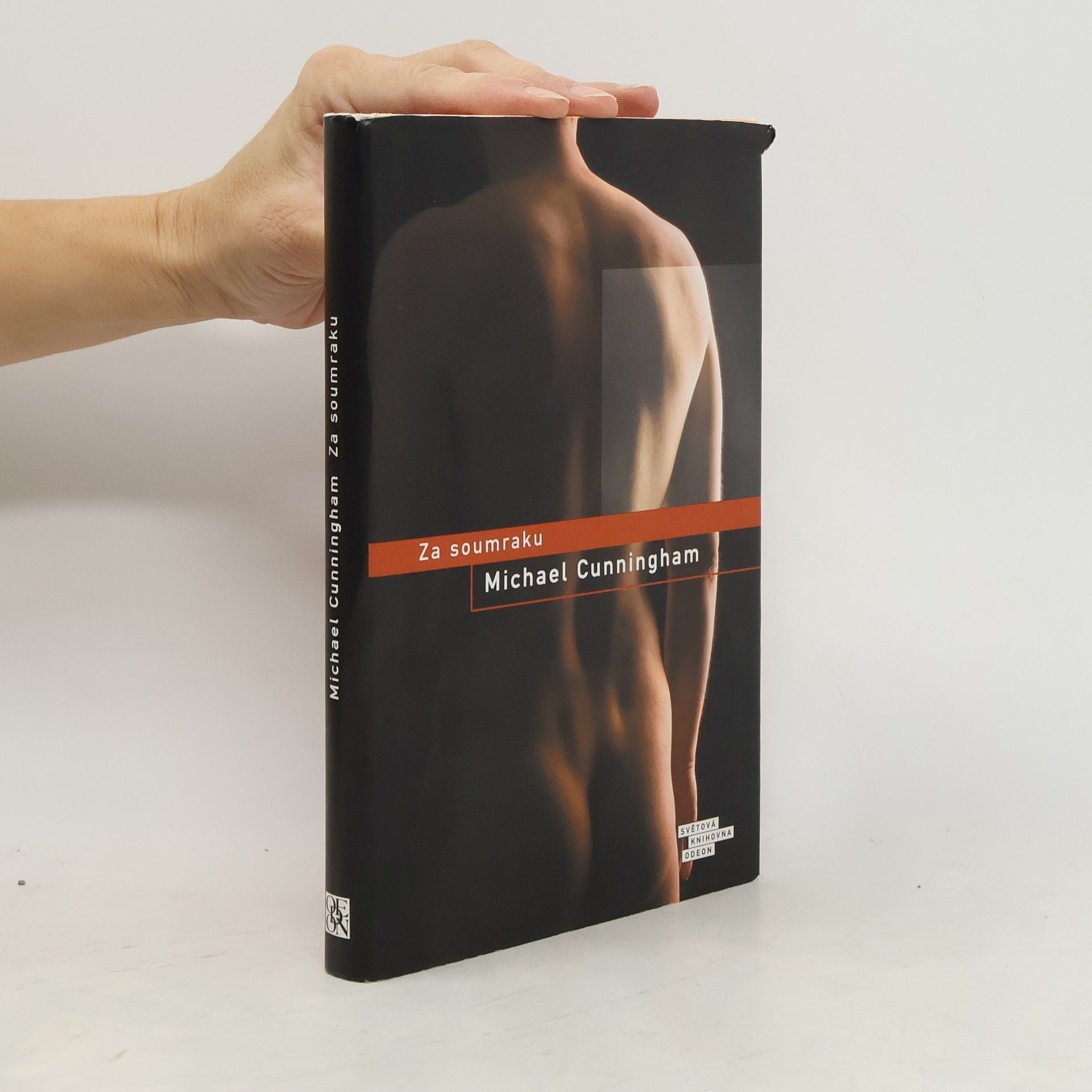 Michael Cunningham Za soumraku