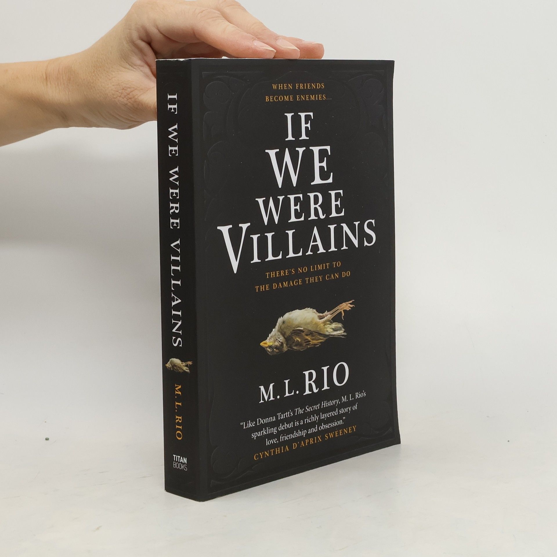 M. L. Rio If We Were Villains