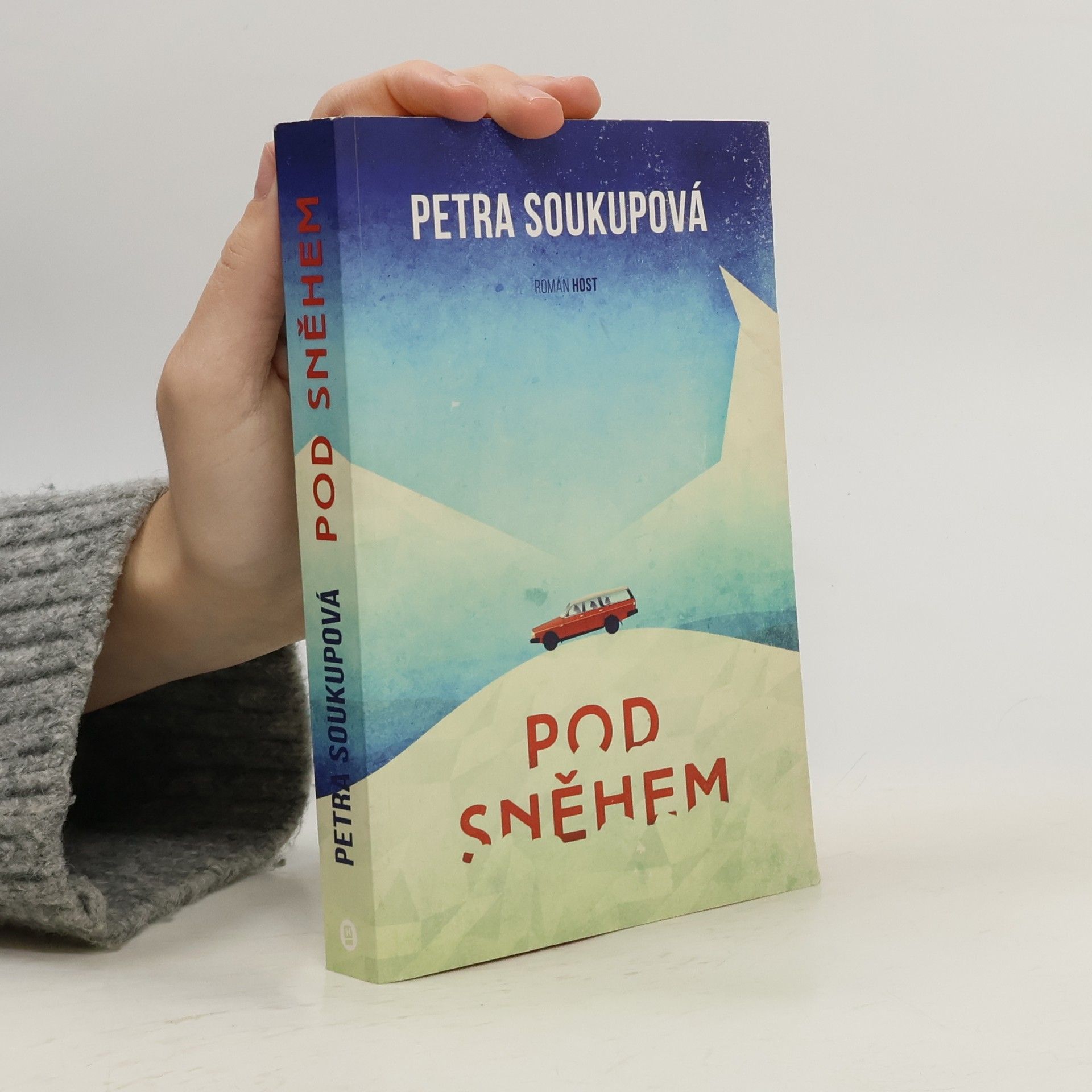 Petra Soukupová Pod sněhem