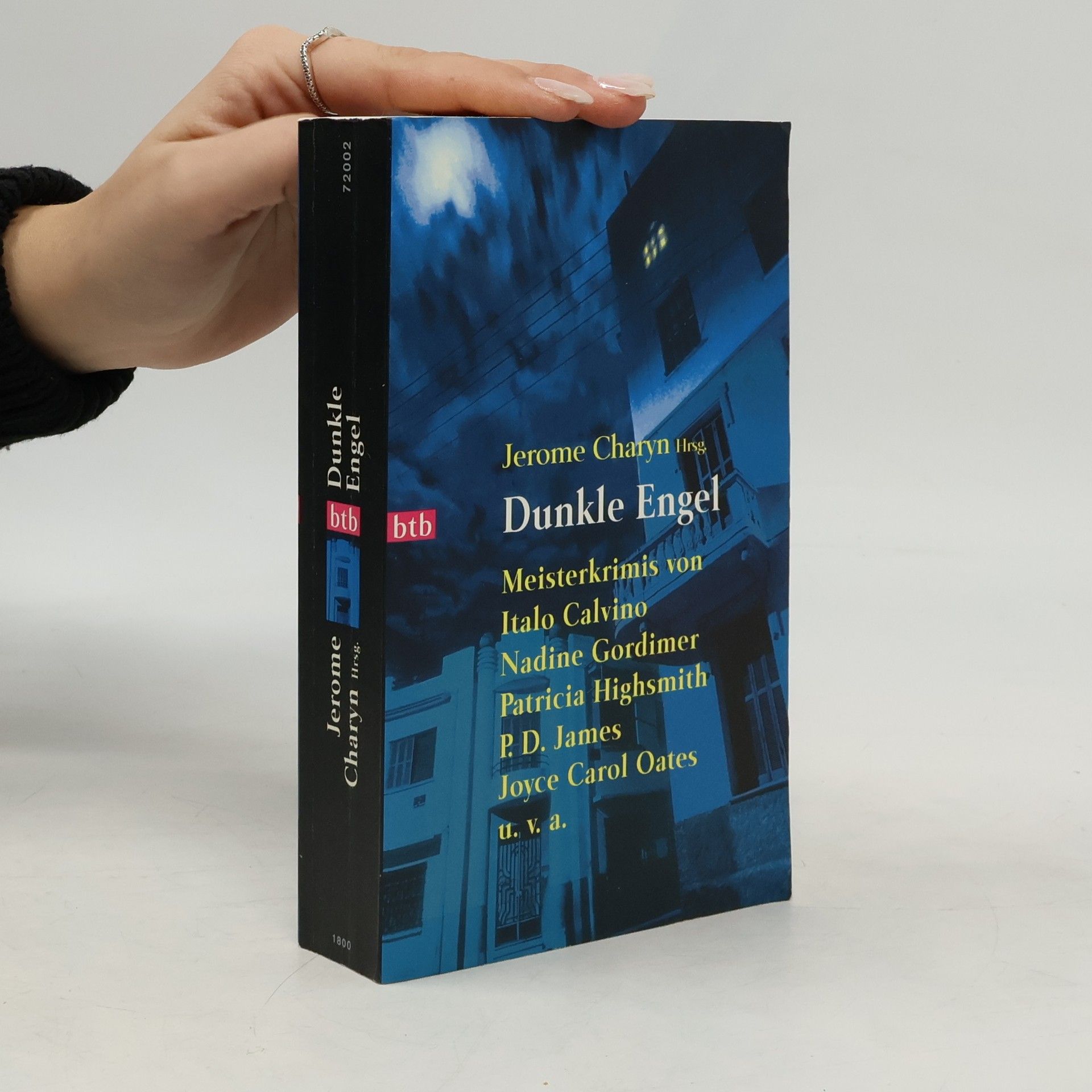 Jerome Charyn Dunkle Engel