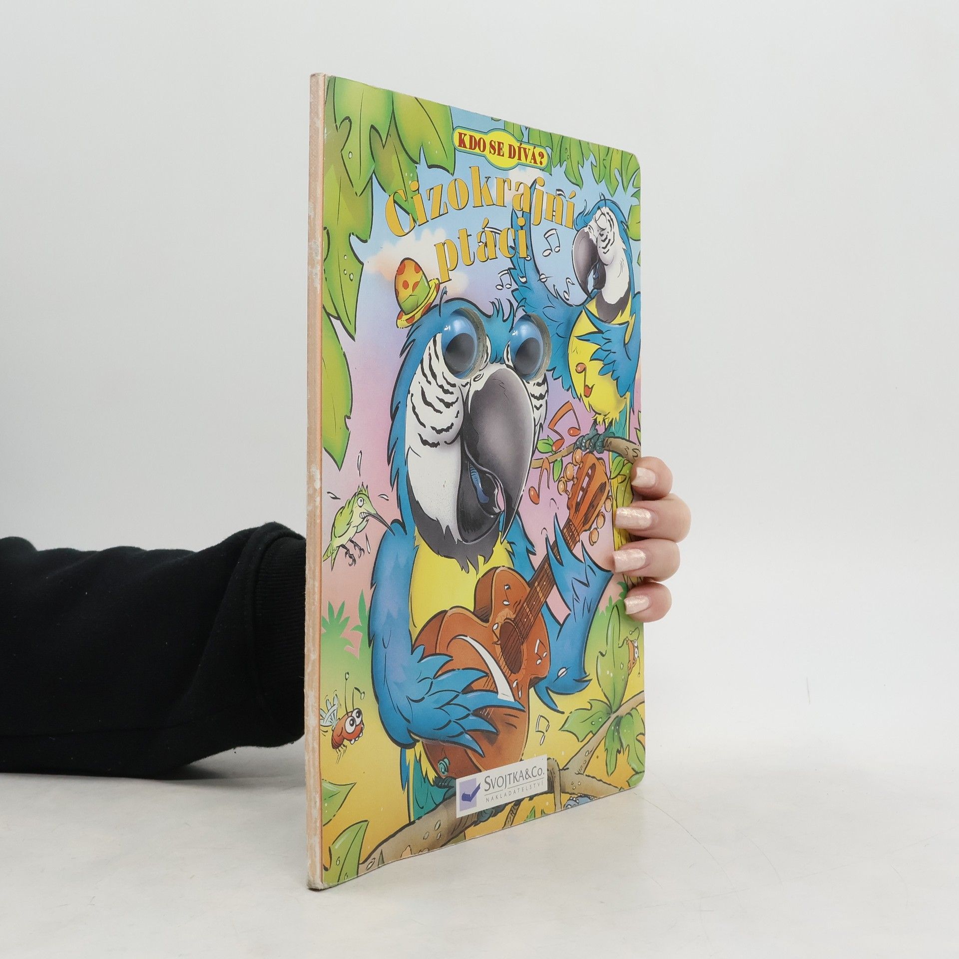 Catherine Solyom Cizokrajní ptáci