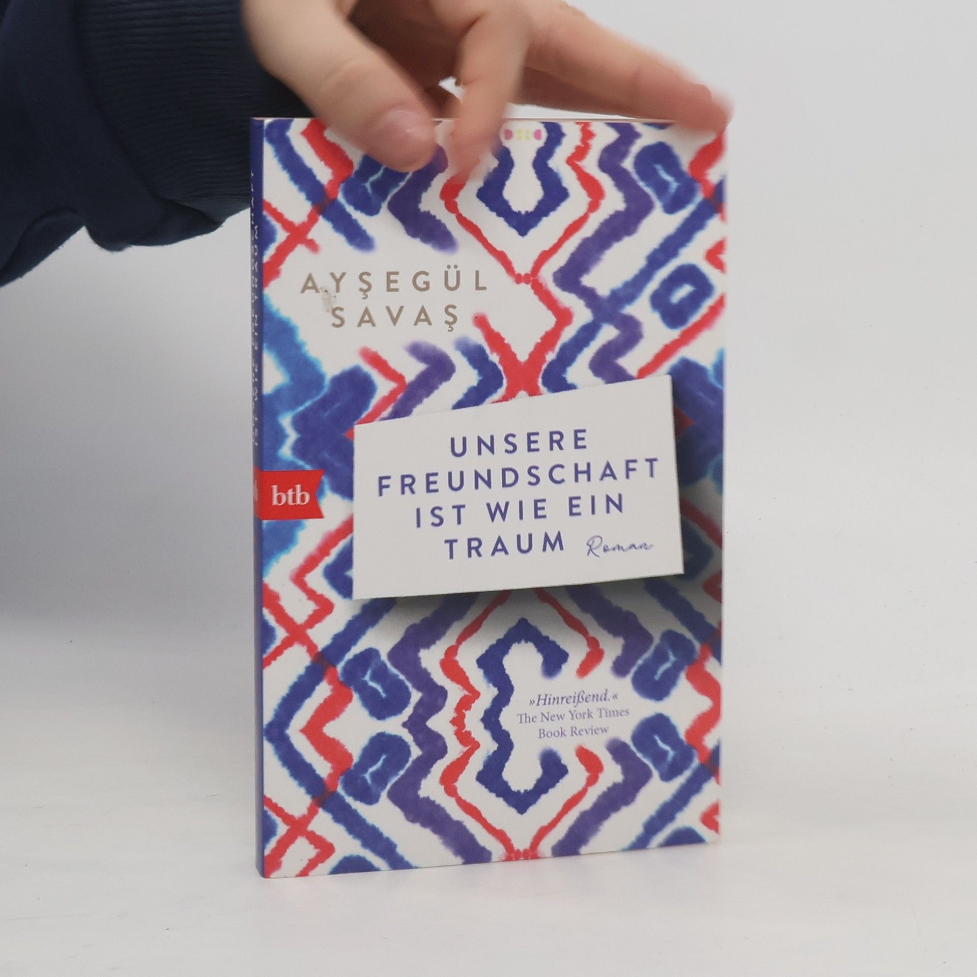 Aysegul Savas Unsere Freundschaft ist wie ein Traum