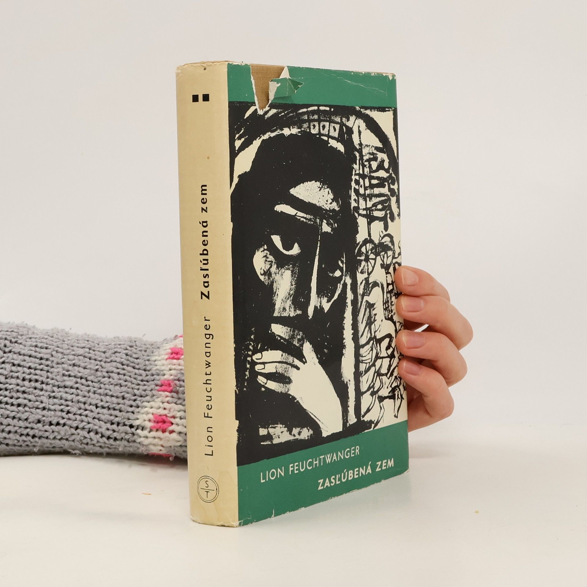 Lion Feuchtwanger Zasľúbená zem II. Synovia