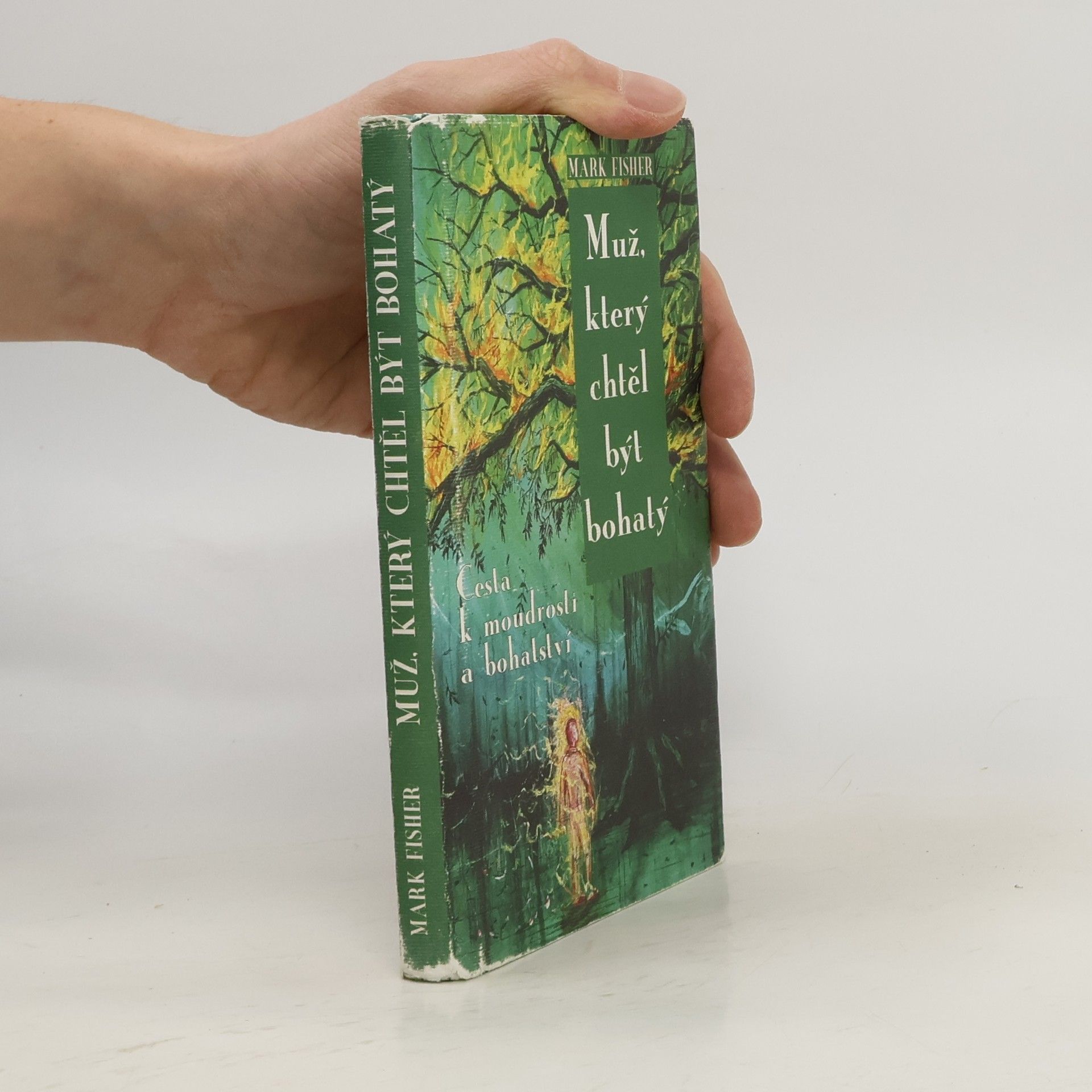 Mark Fisher Muž, který chtěl být bohatý