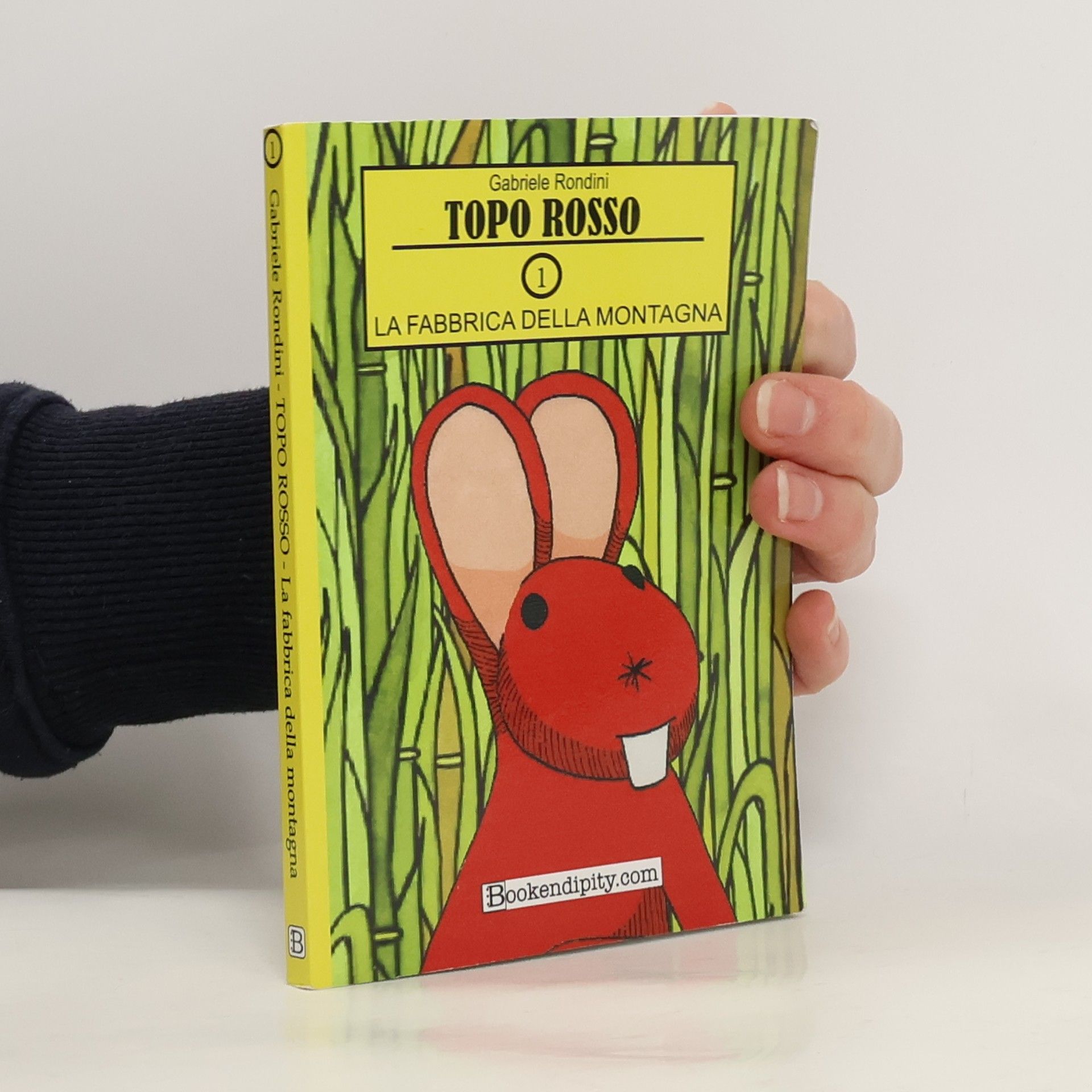 Gabriele Rondini La fabbrica della montagna. Topo Rosso. Ediz. illustrata