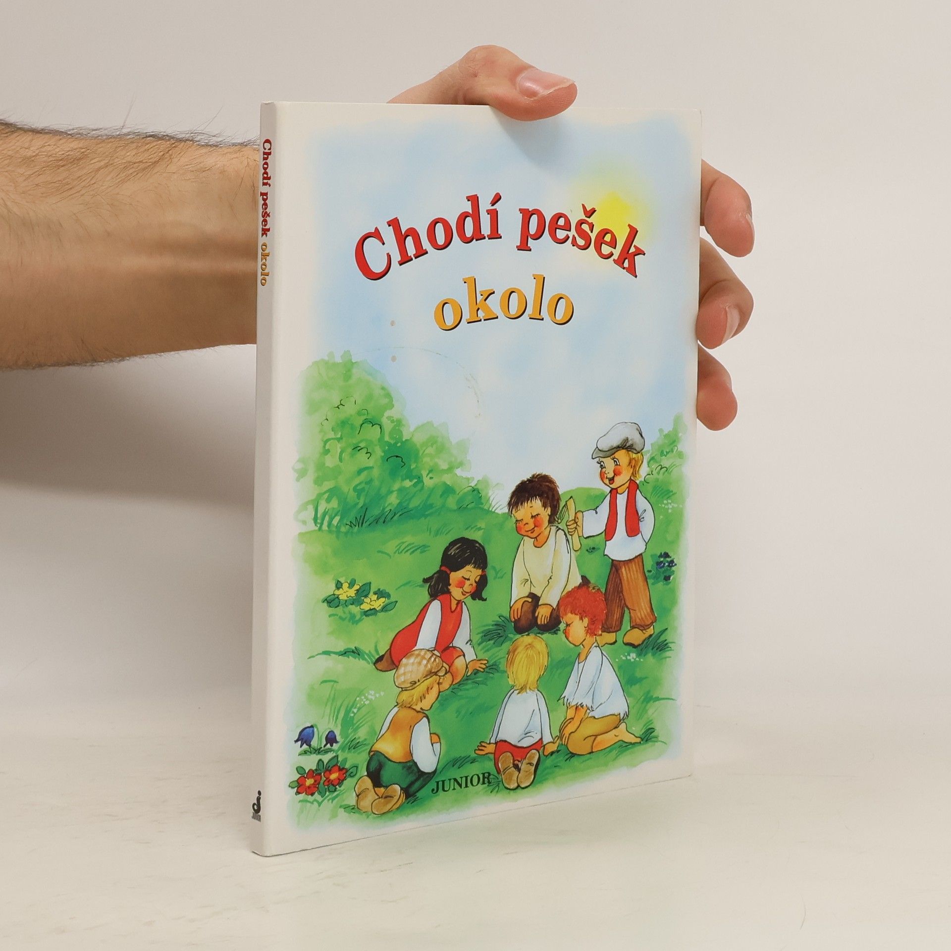 Vladimíra Vopičková Chodí pešek okolo (leporelo)