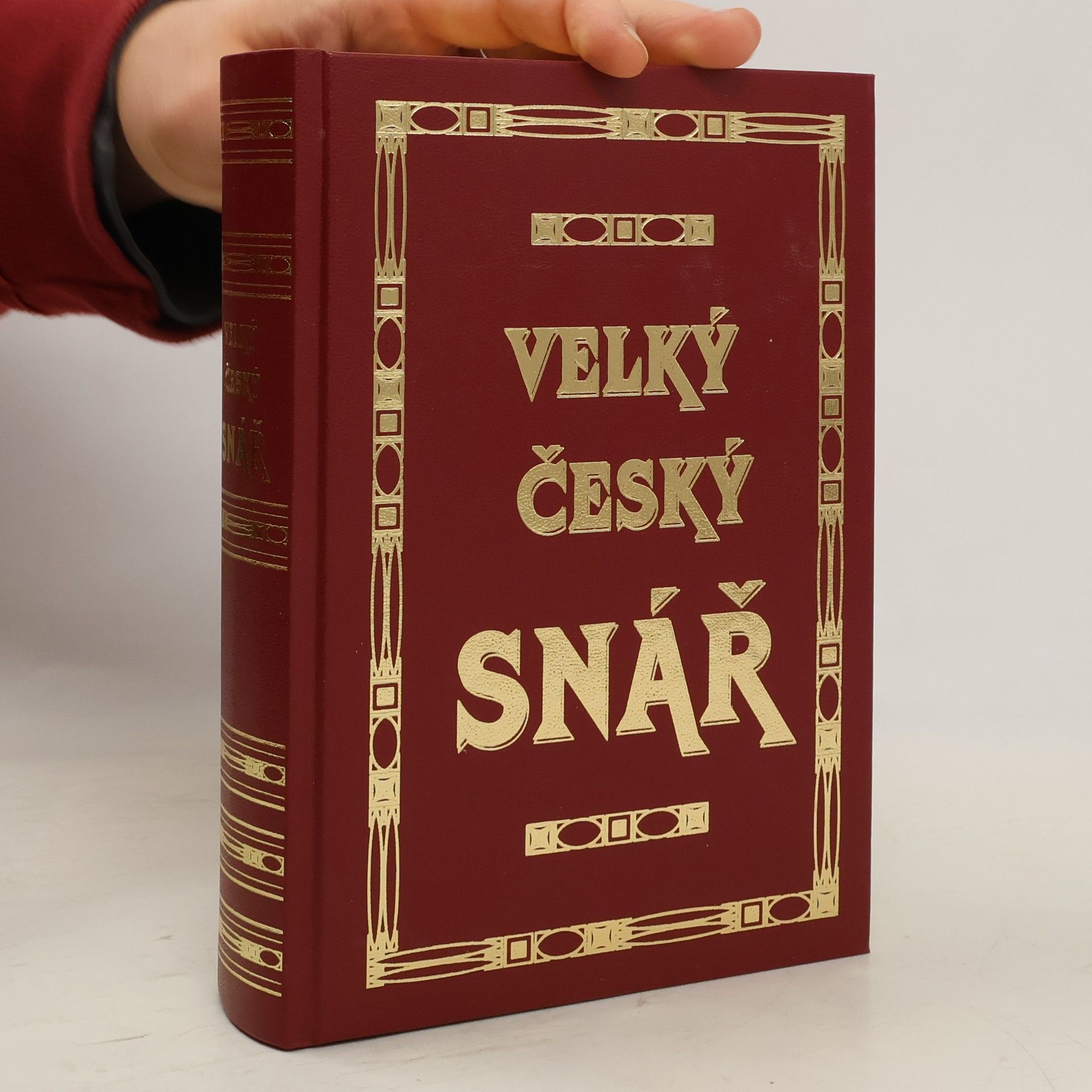 Anna Nováková Velký český snář