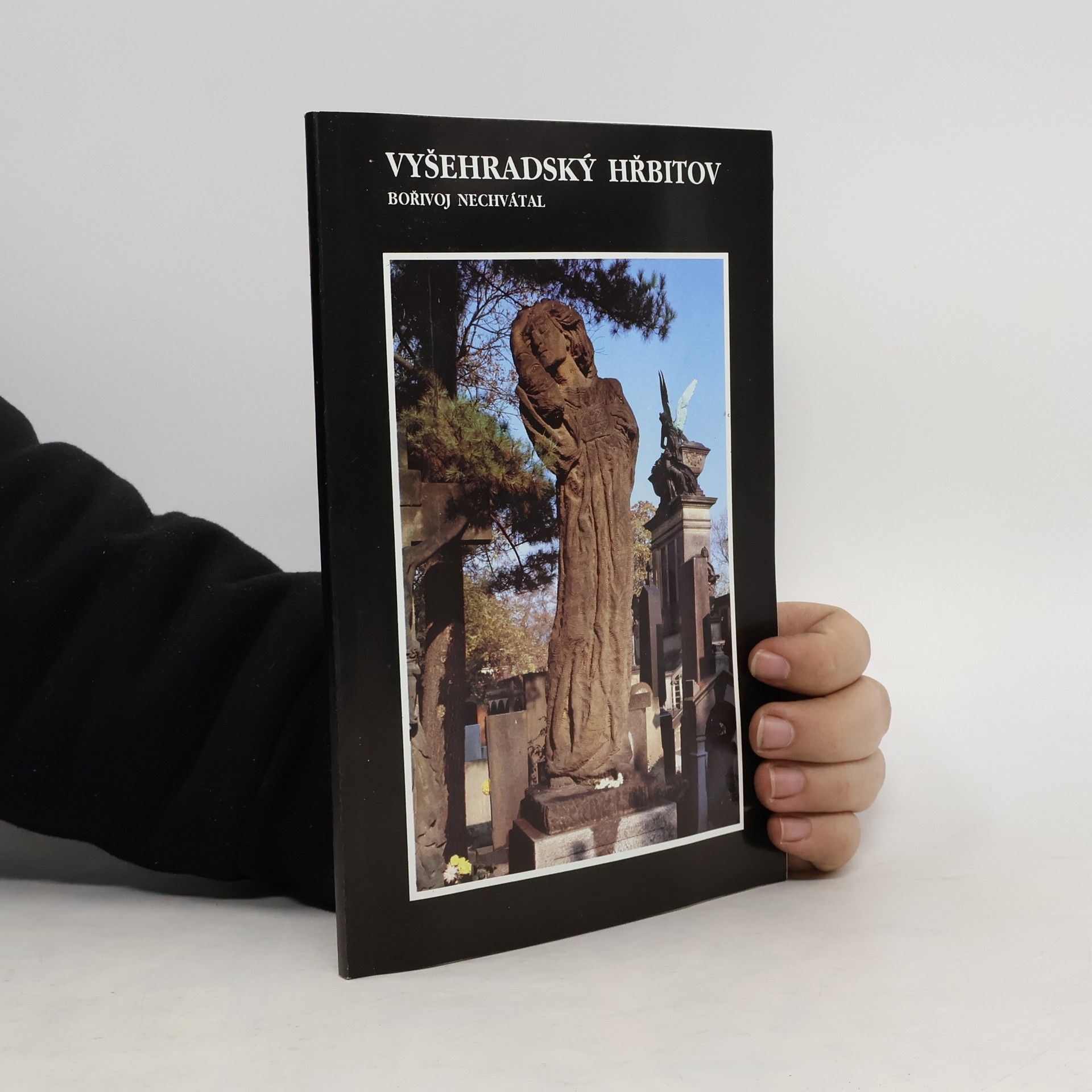 Bořivoj Nechvátal Vyšehradský hřbitov
