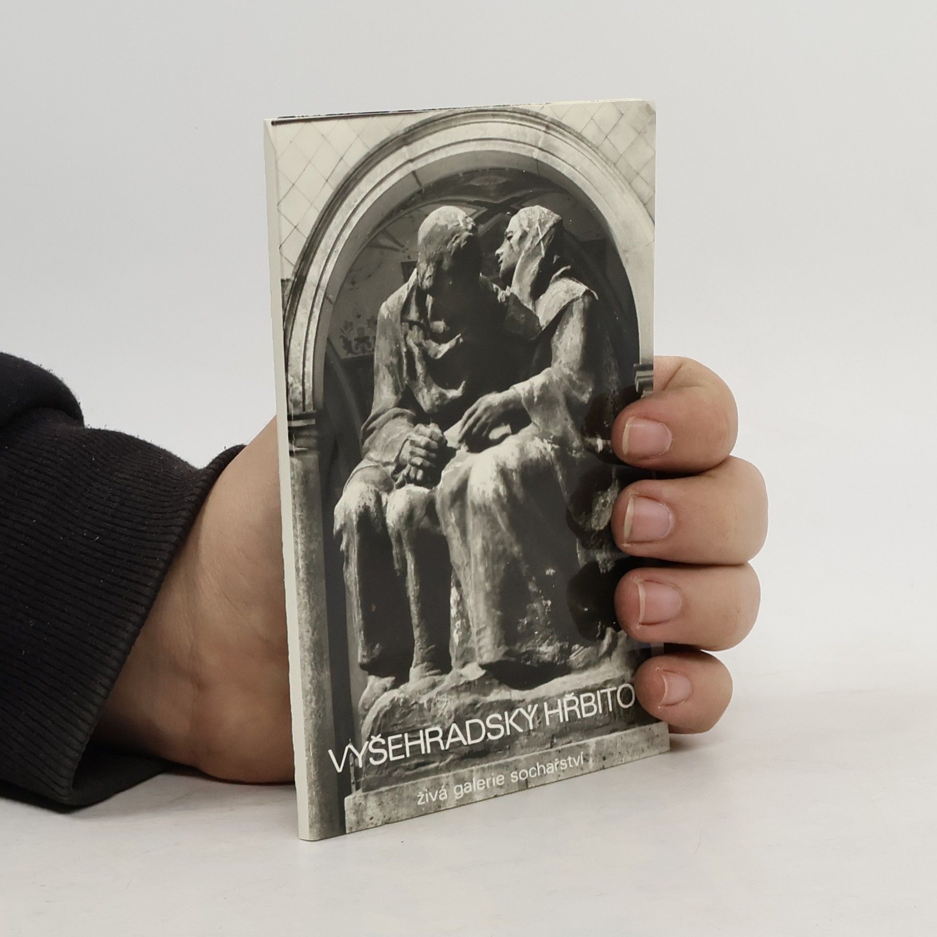 Kolektiv autorů Vyšehradský hřbitov