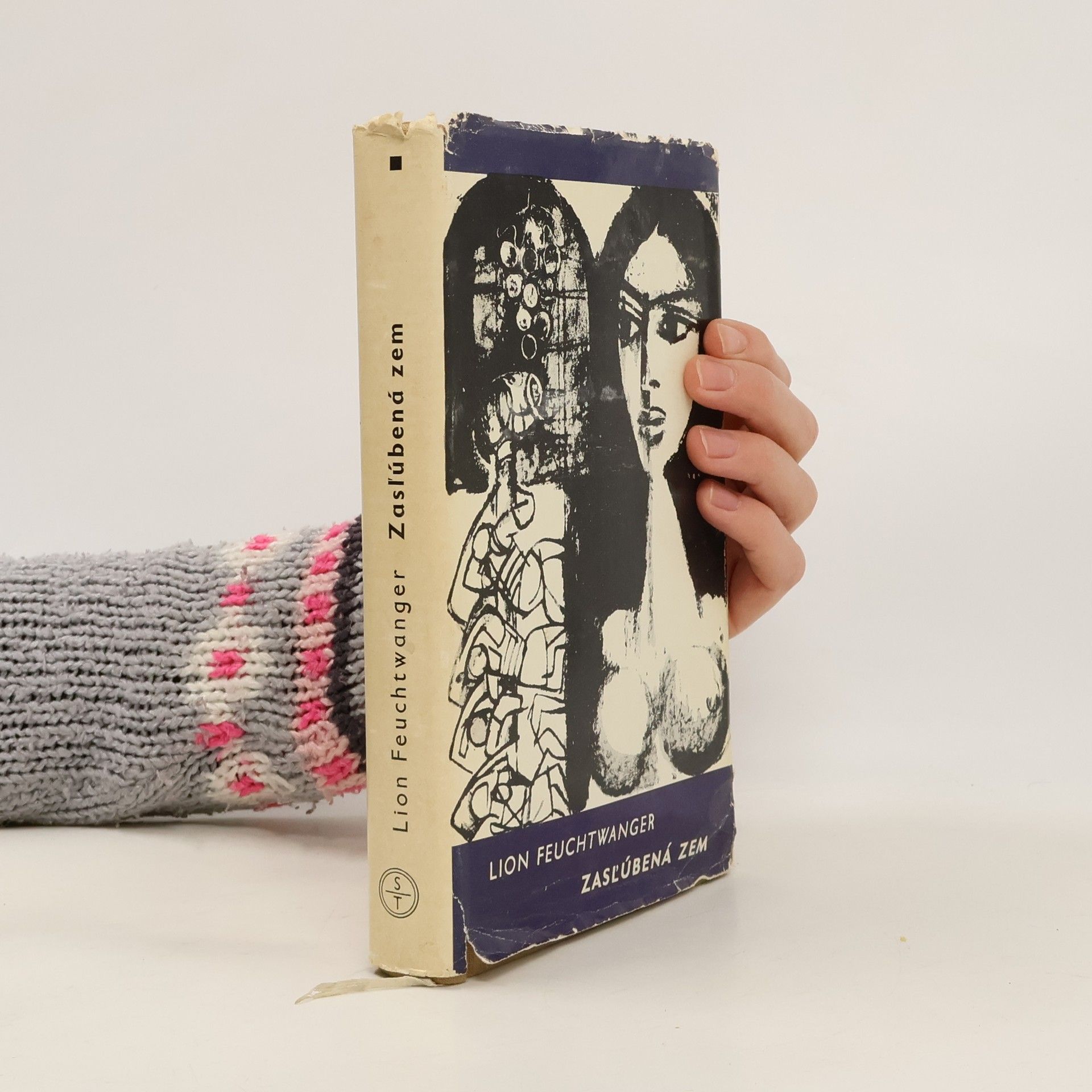 Lion Feuchtwanger Zasľúbená zem