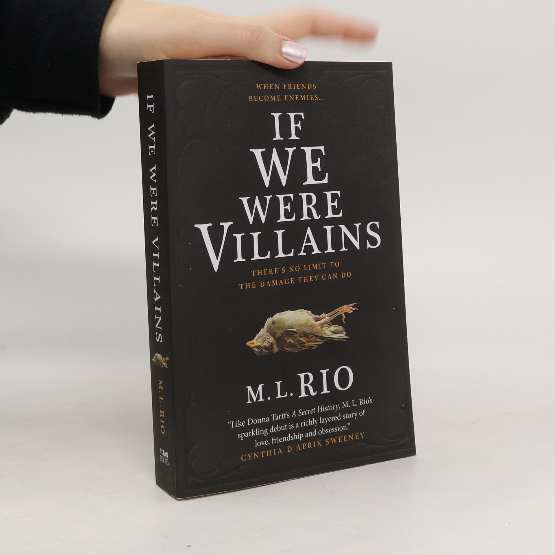 M. L. Rio If We Were Villains