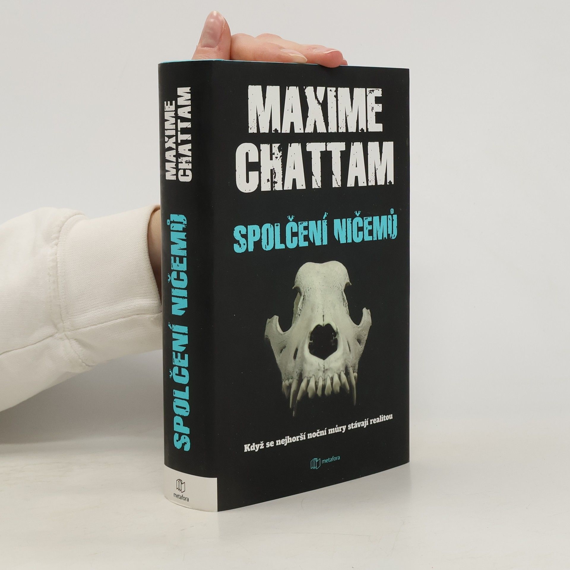 Maxime Chattam Spolčení ničemů