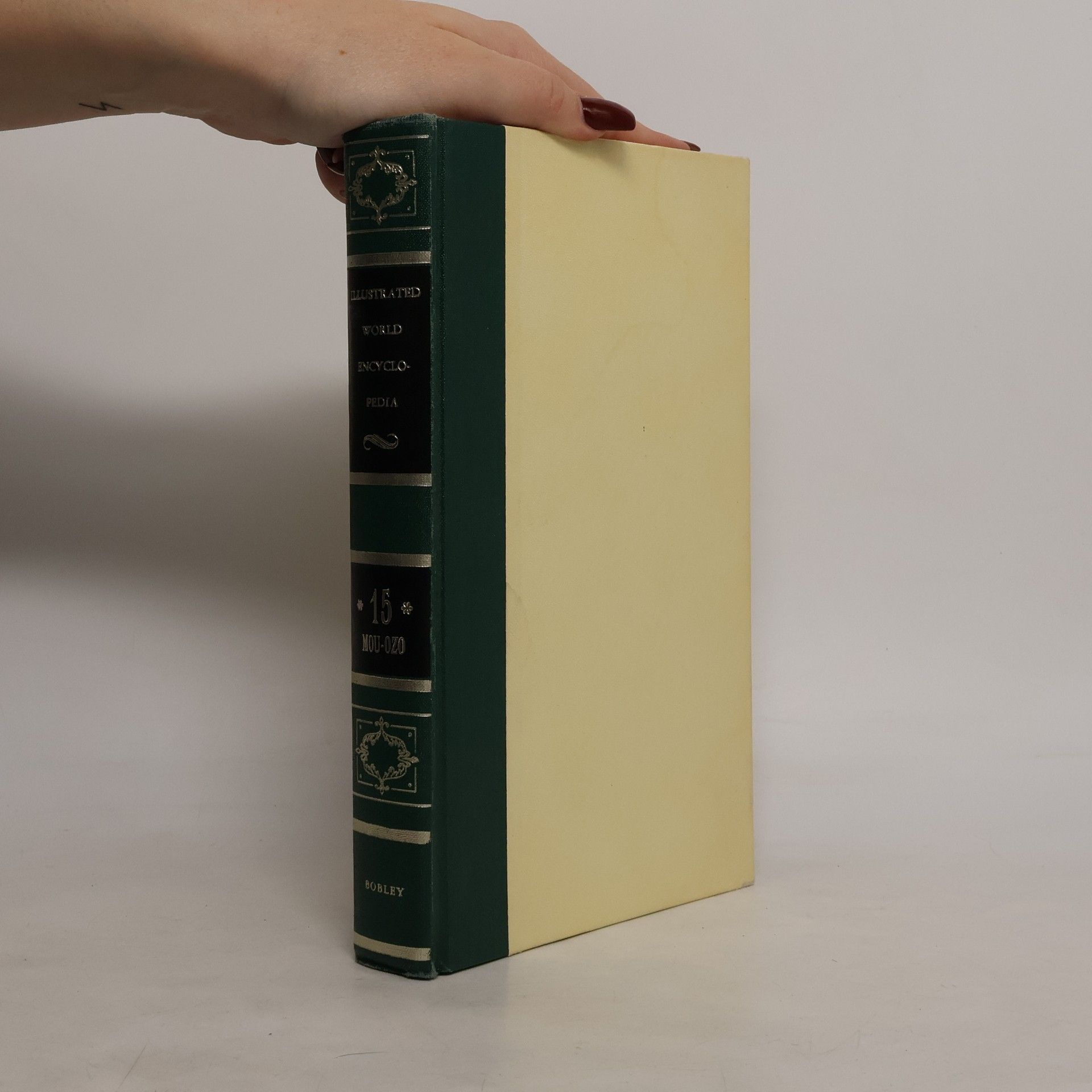 Kolektiv autorů Bobley Illustrated World Encyclopedia 15