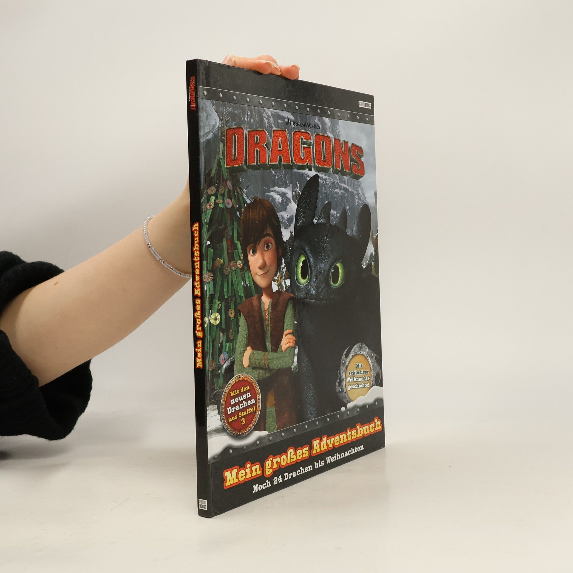 Carolin Böttler Dragons - mein großes Adventsbuch