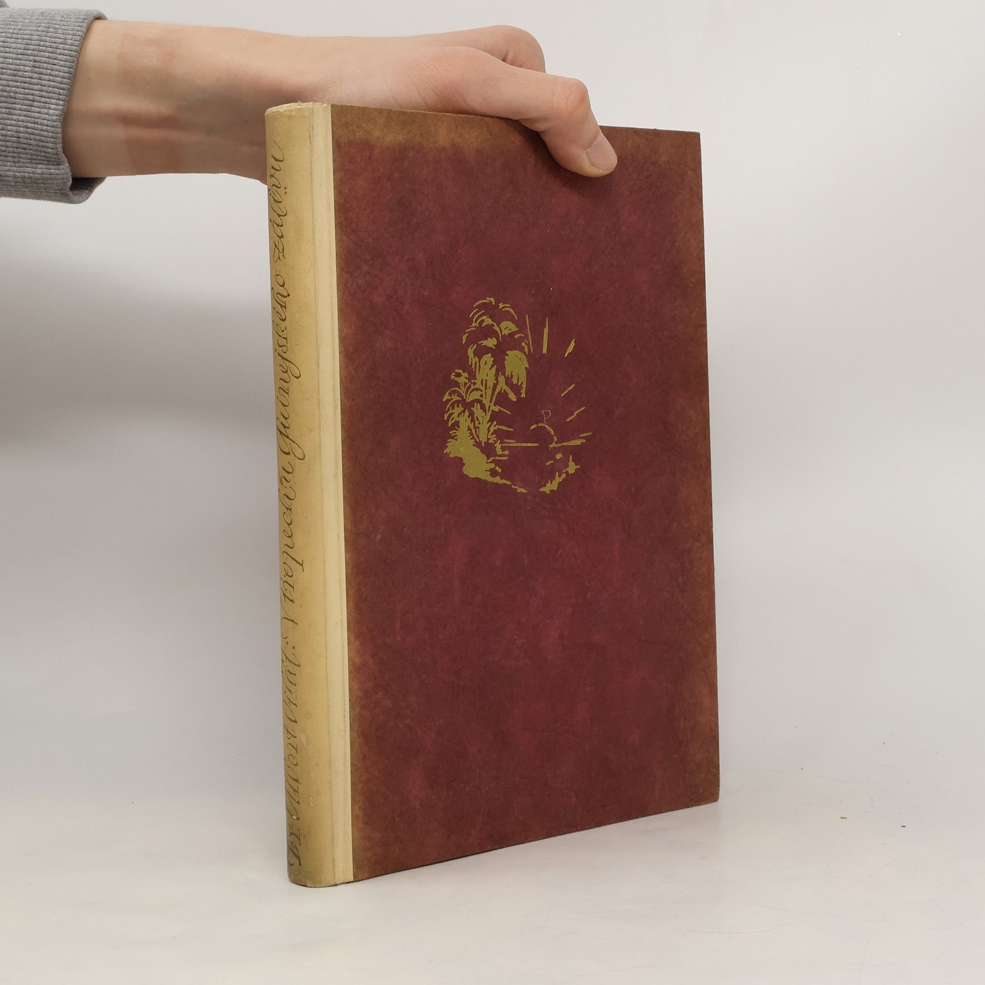 V tropech u Guinejského zálivu